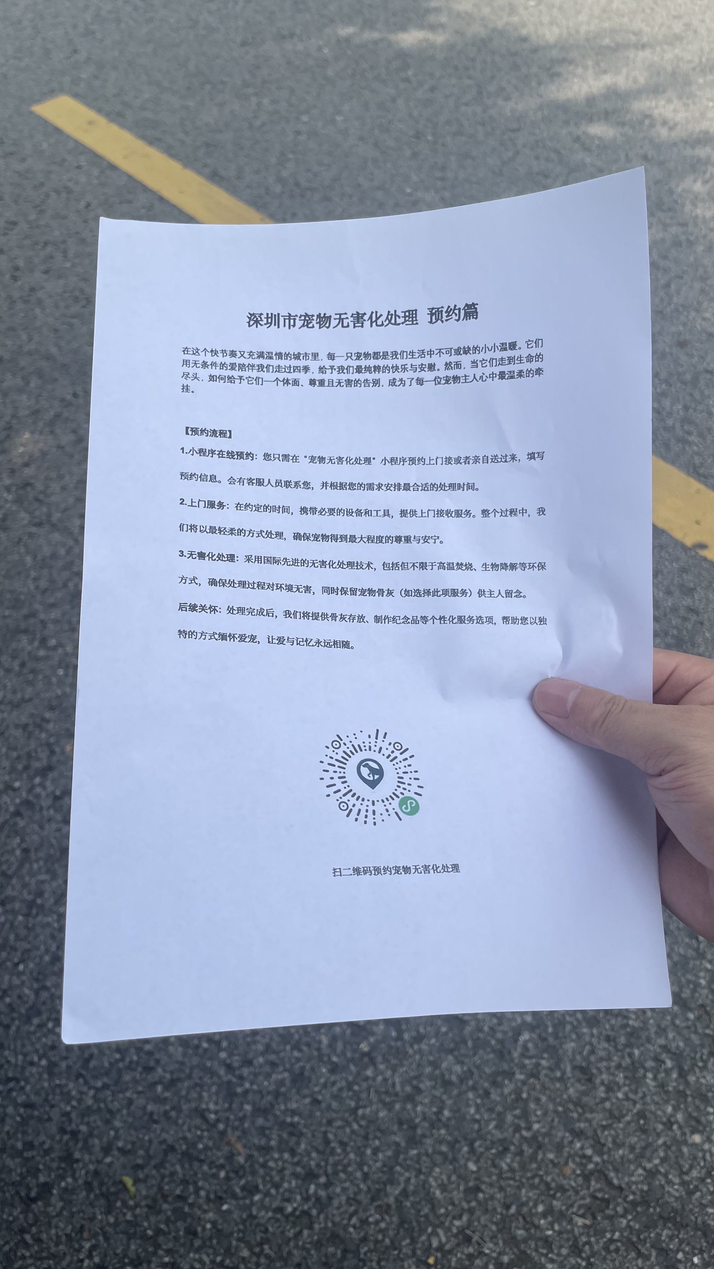 和县宠物告别