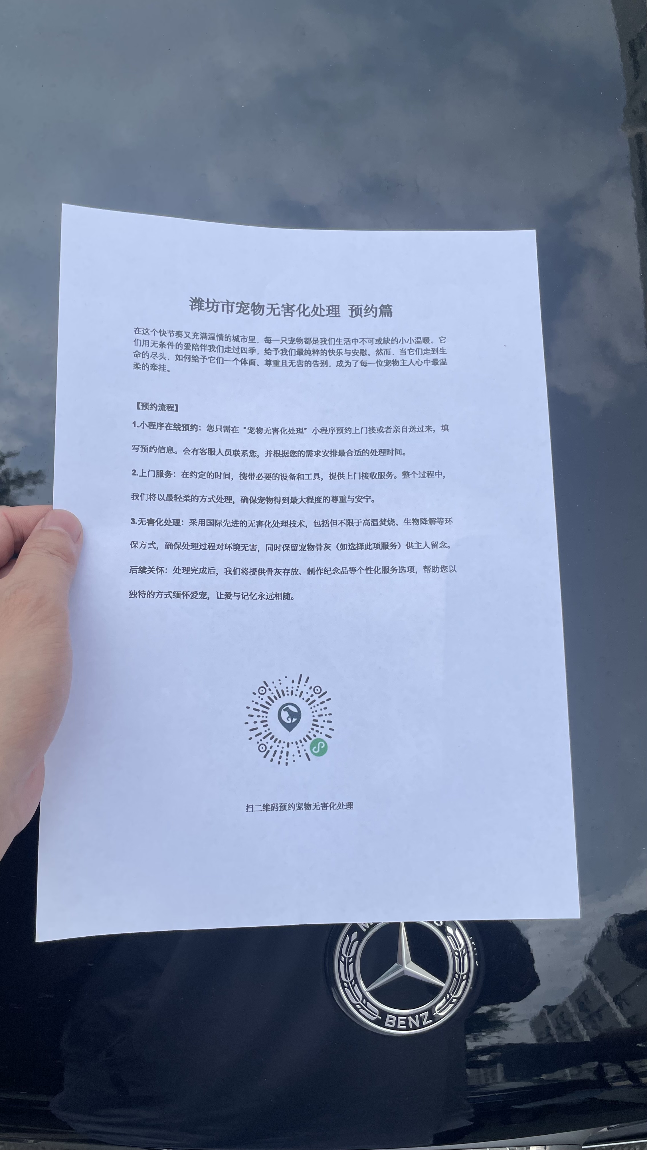 和县宠物接运服务