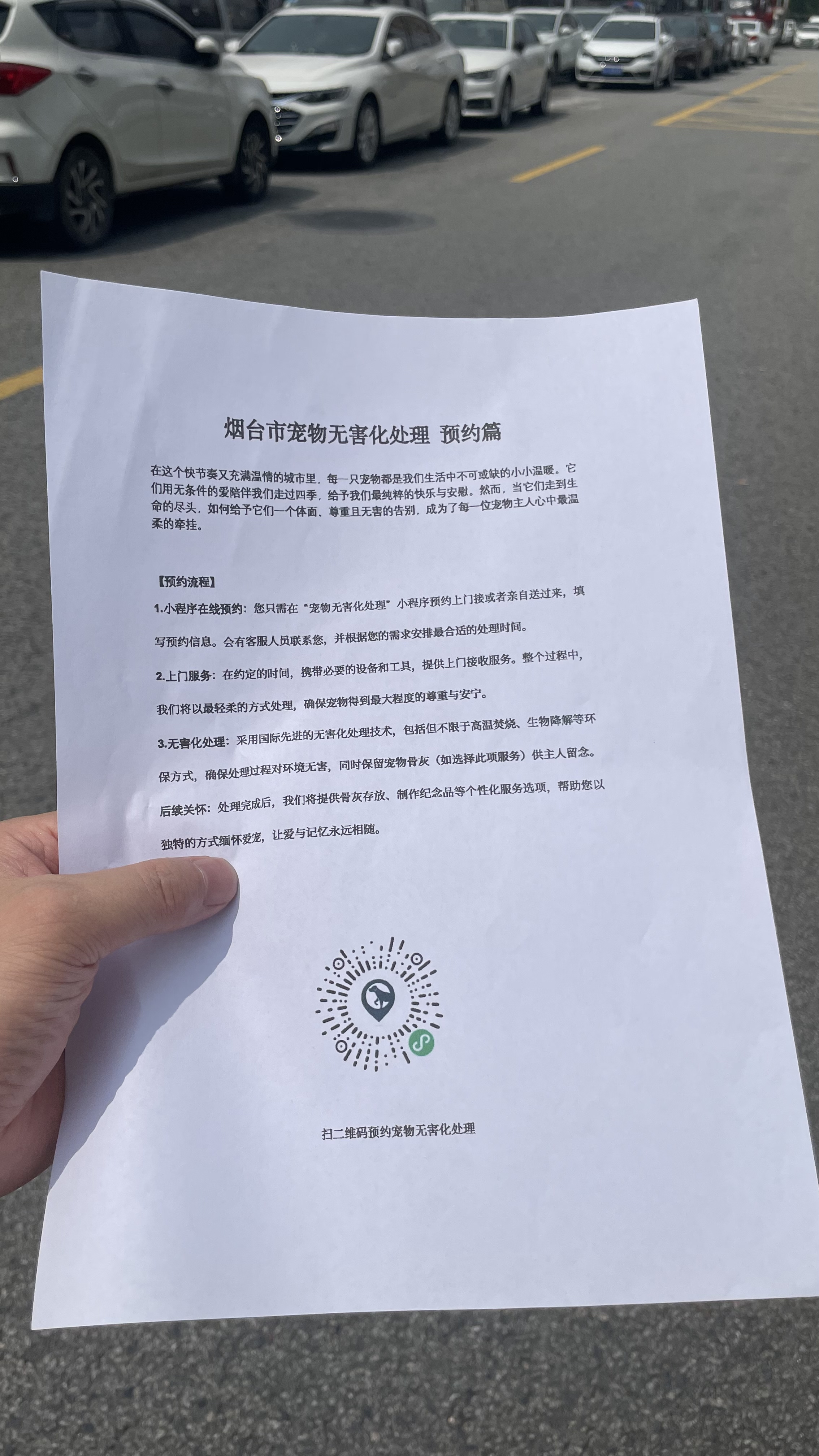 中山宠物遗体规范处理