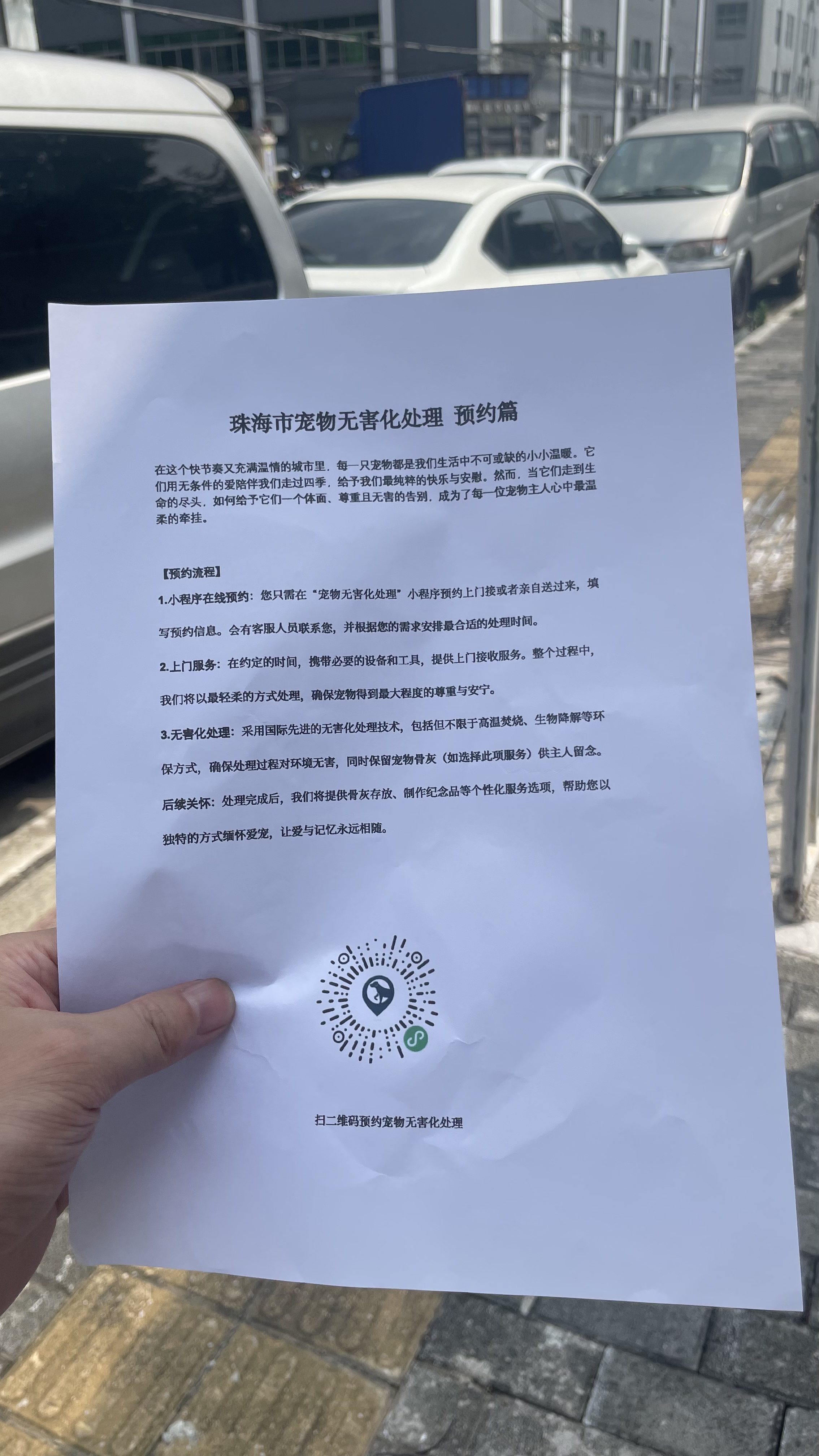 和县宠物骨灰安置