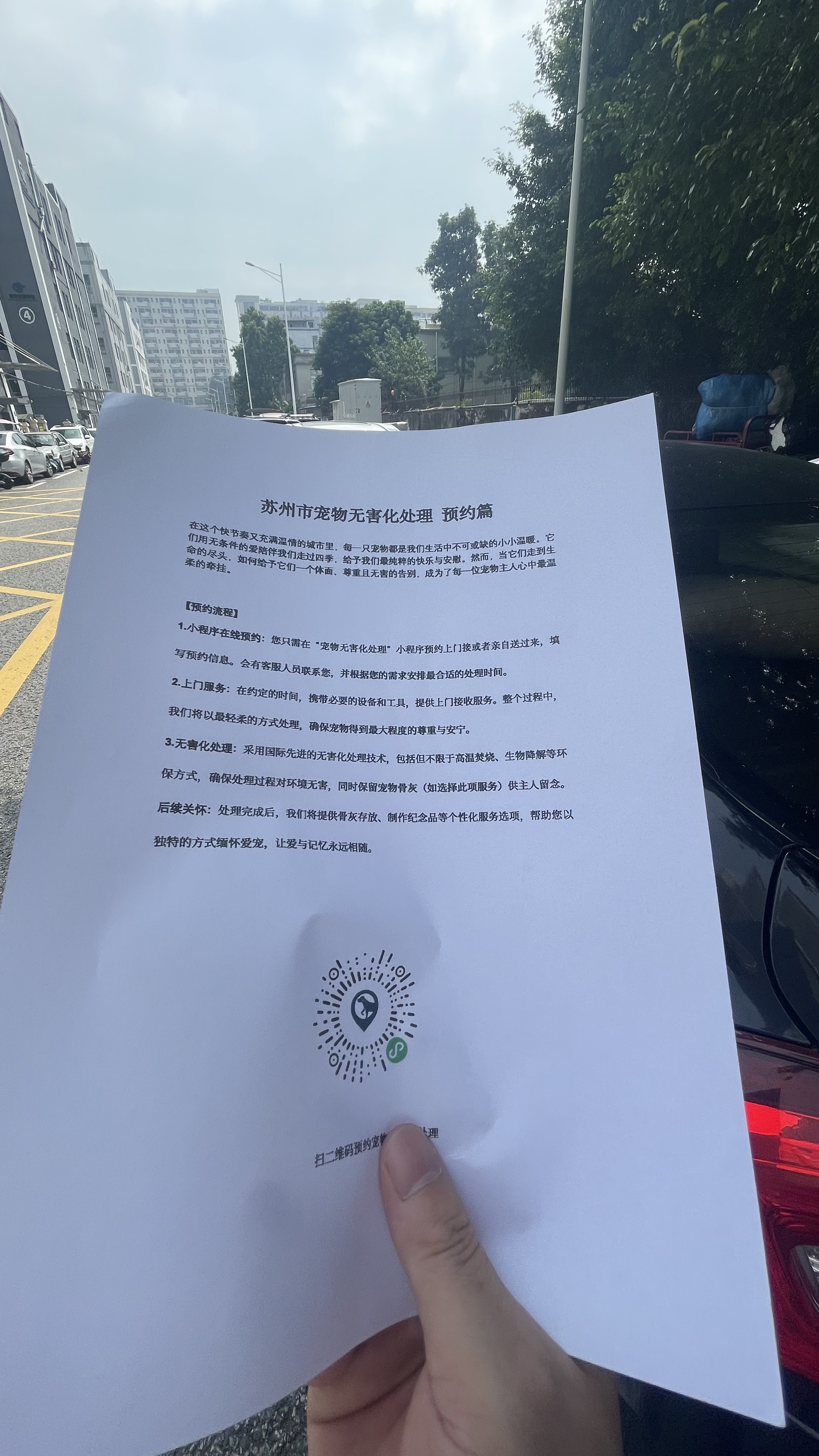 当涂宠物告别