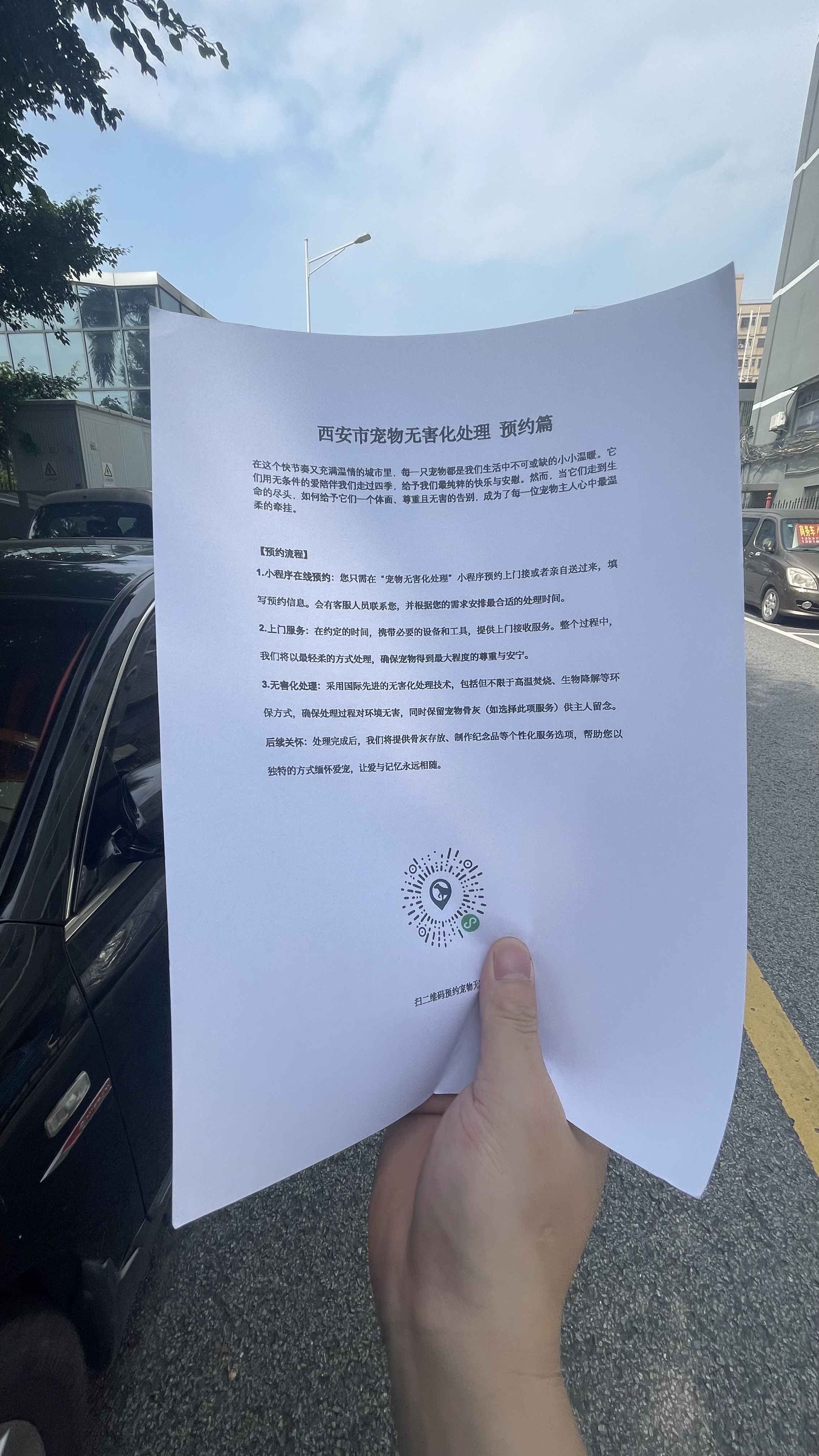 当涂宠物无害化处理流程