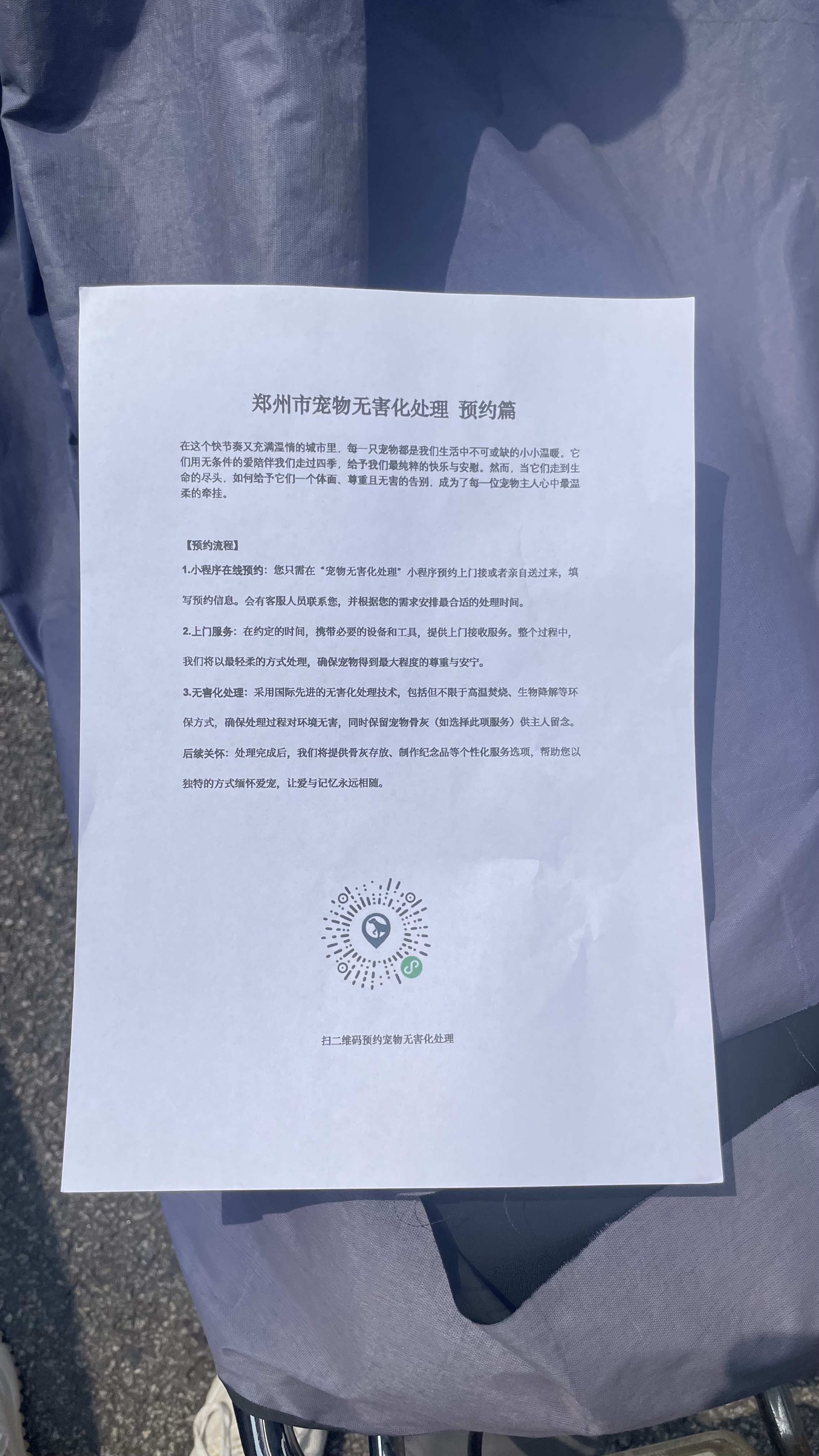 百色宠物无害化处理