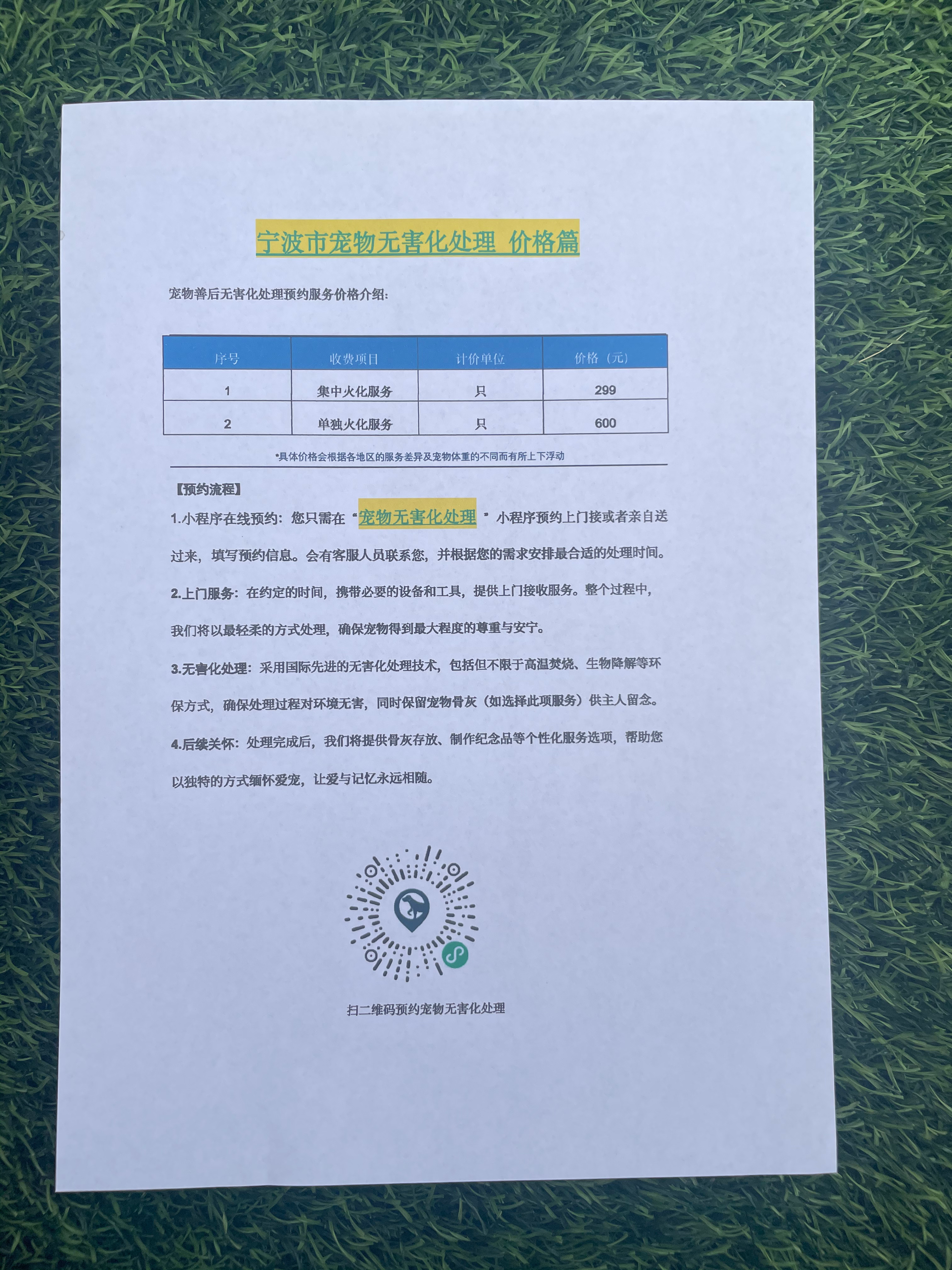 舒城宠摆渡服务