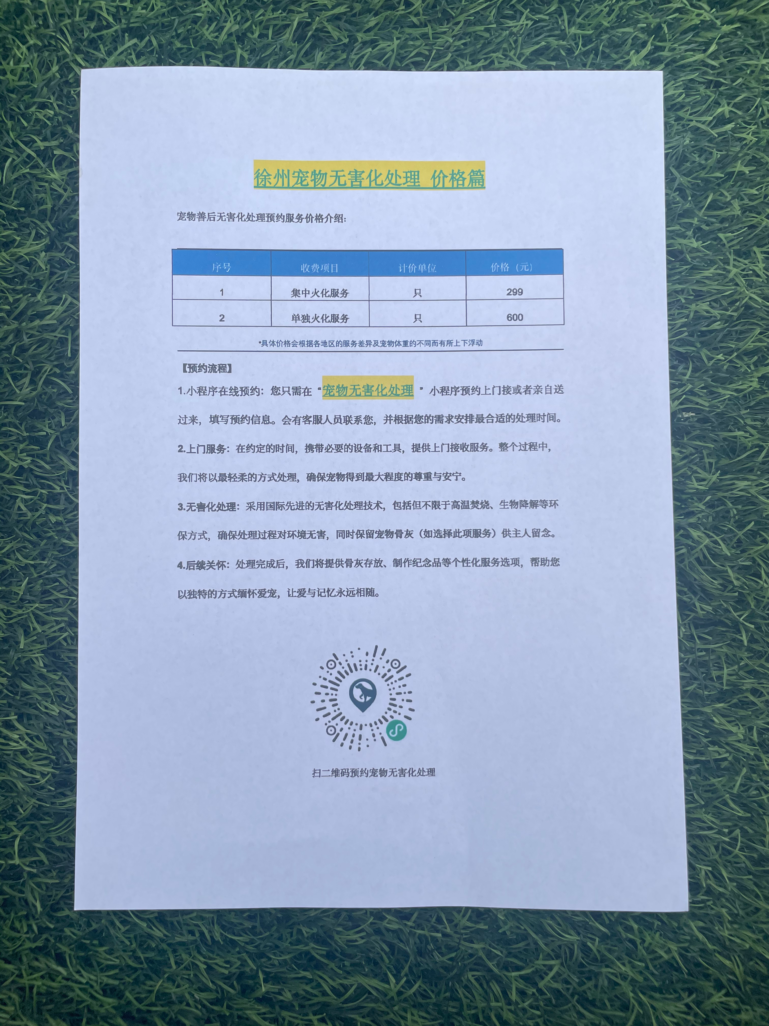 舒城宠物接运服务