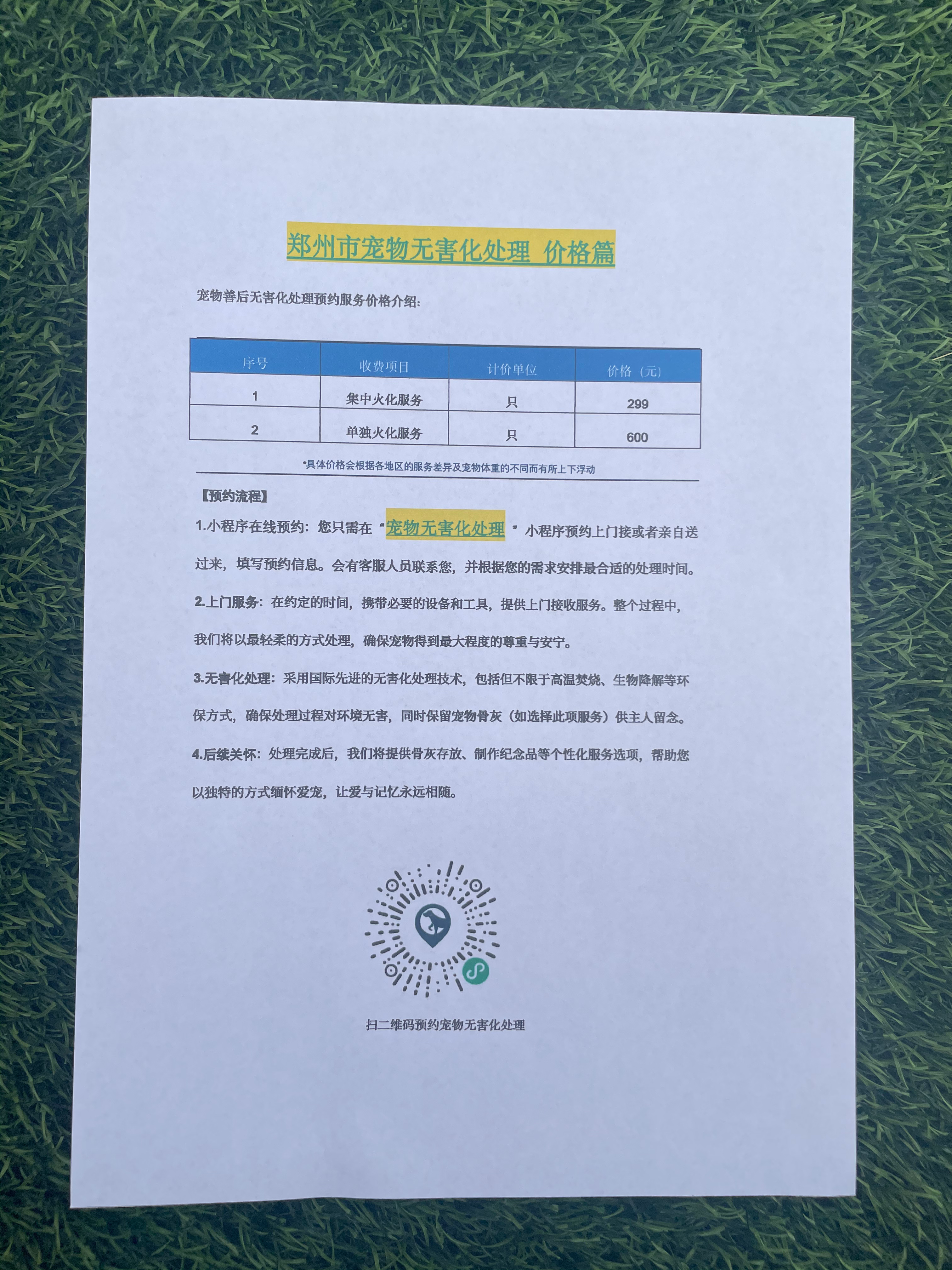 涡阳宠摆渡服务