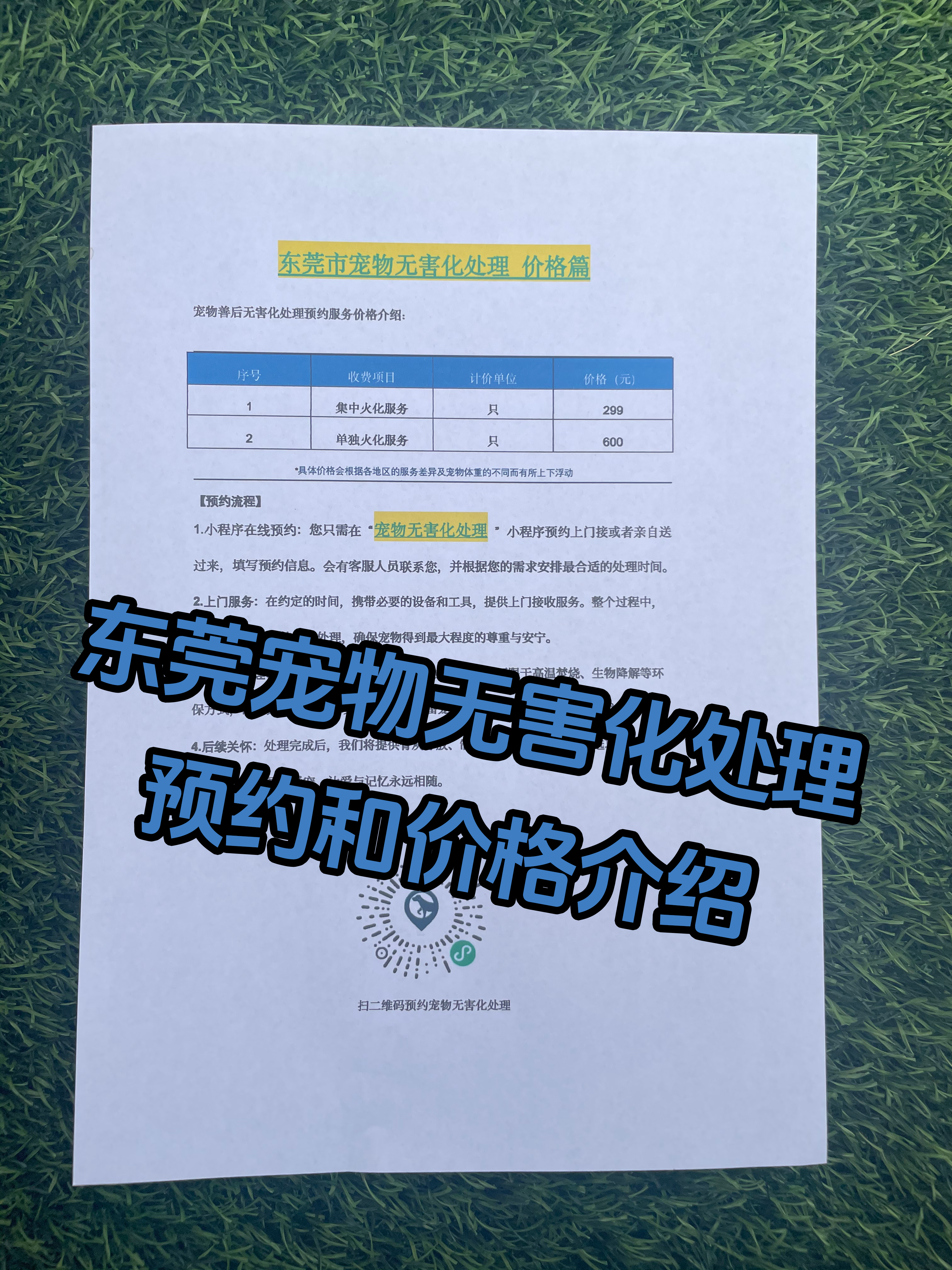 谯城宠物无害化