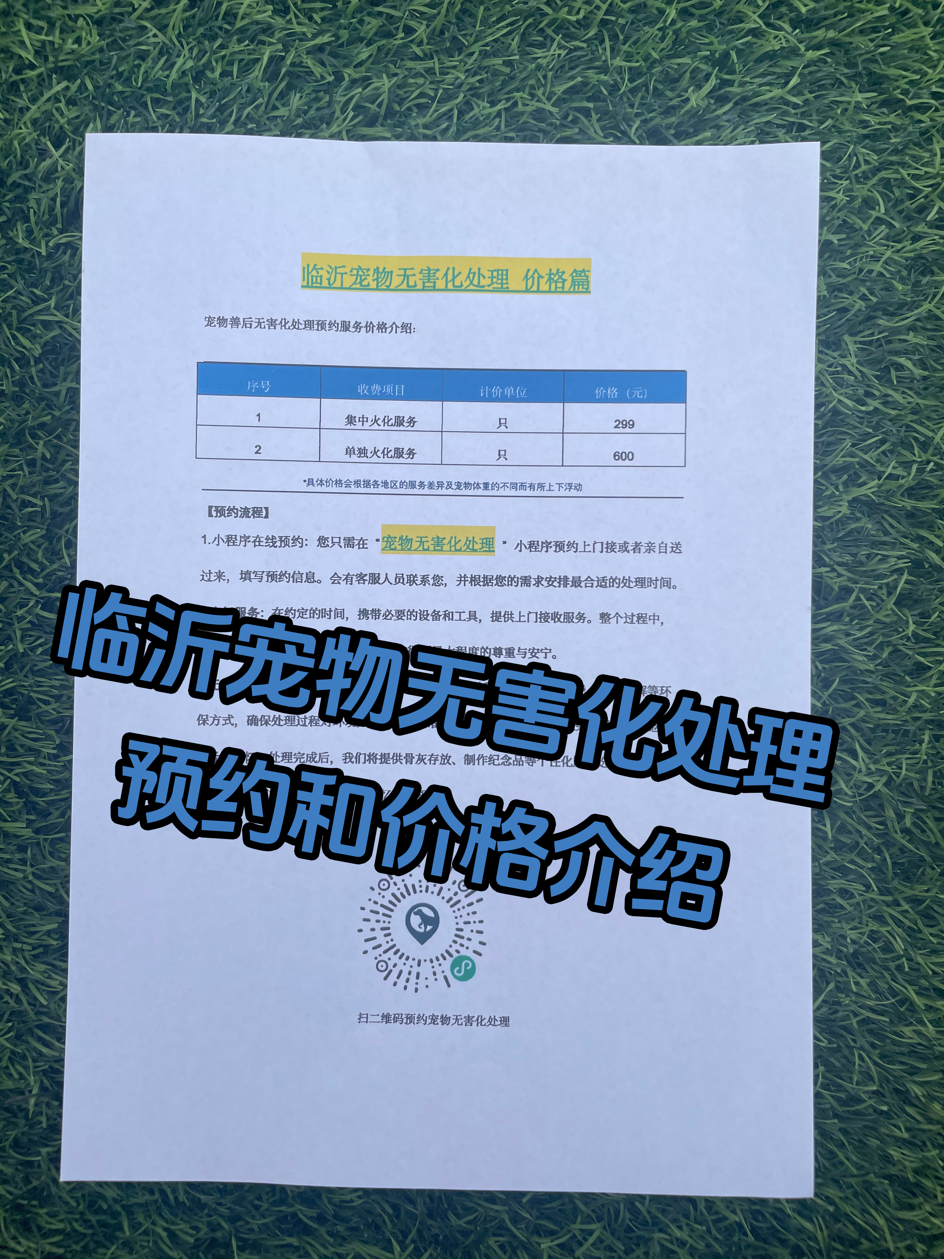 谯城宠物告别
