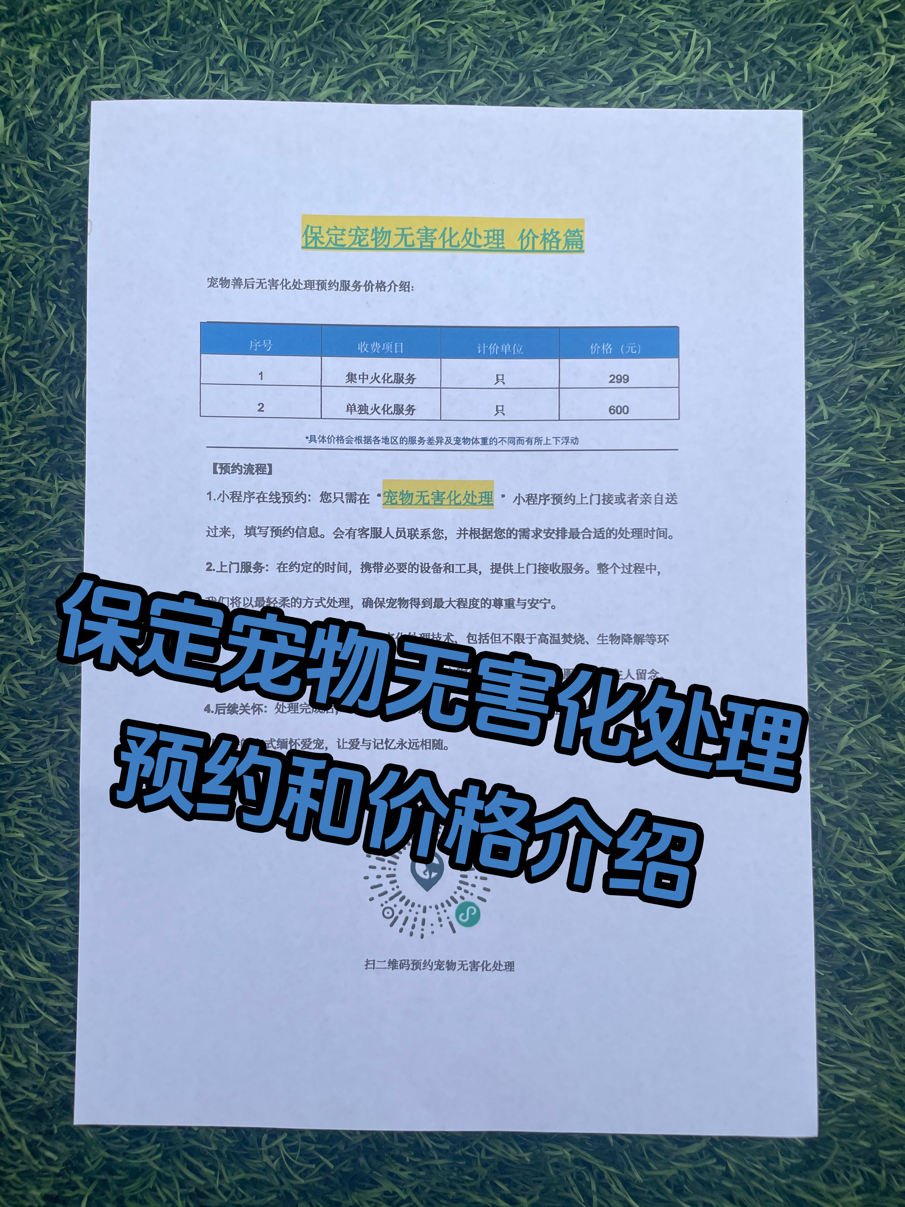 谯城宠物接运服务