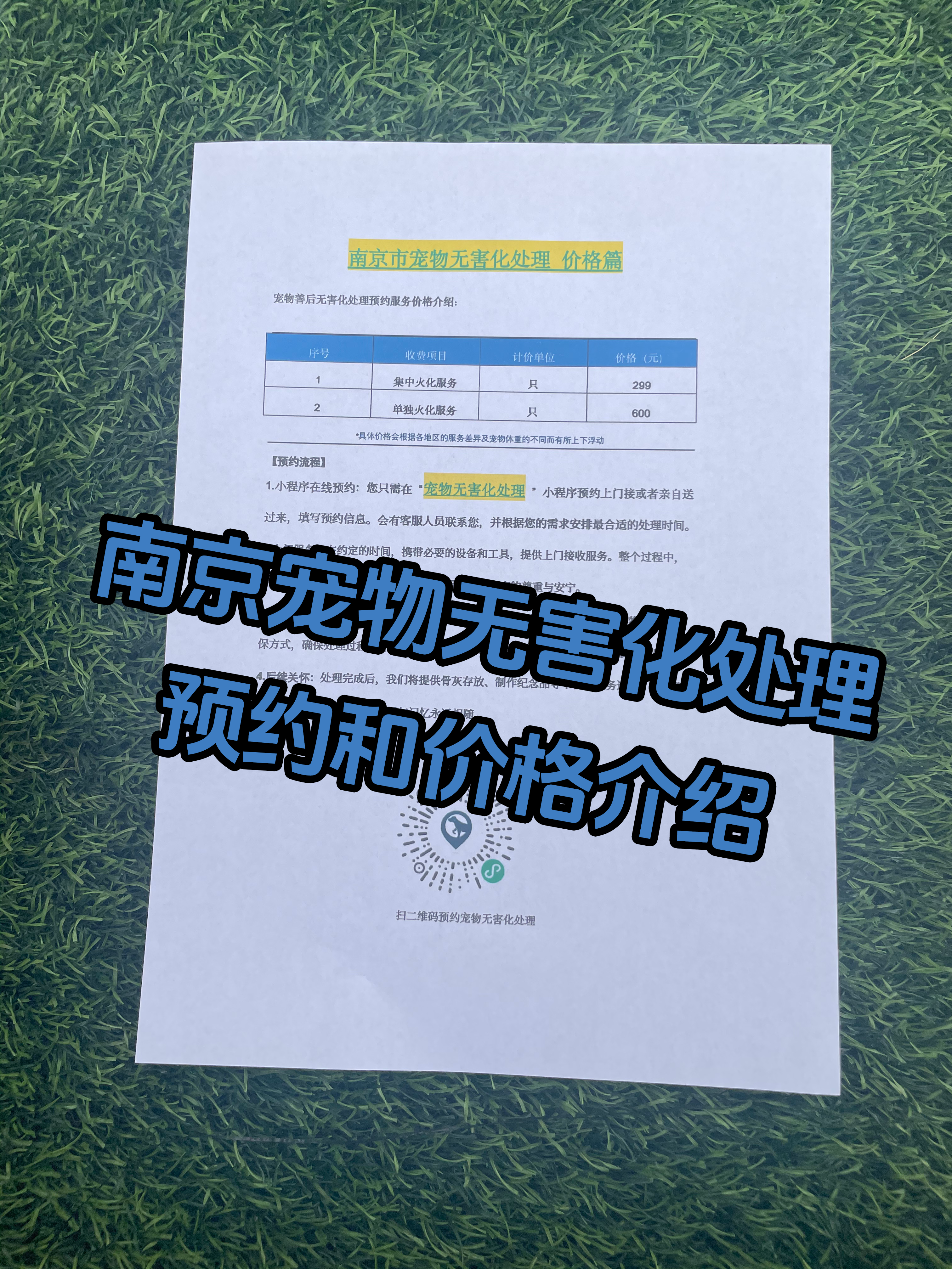 谯城宠物骨灰安置