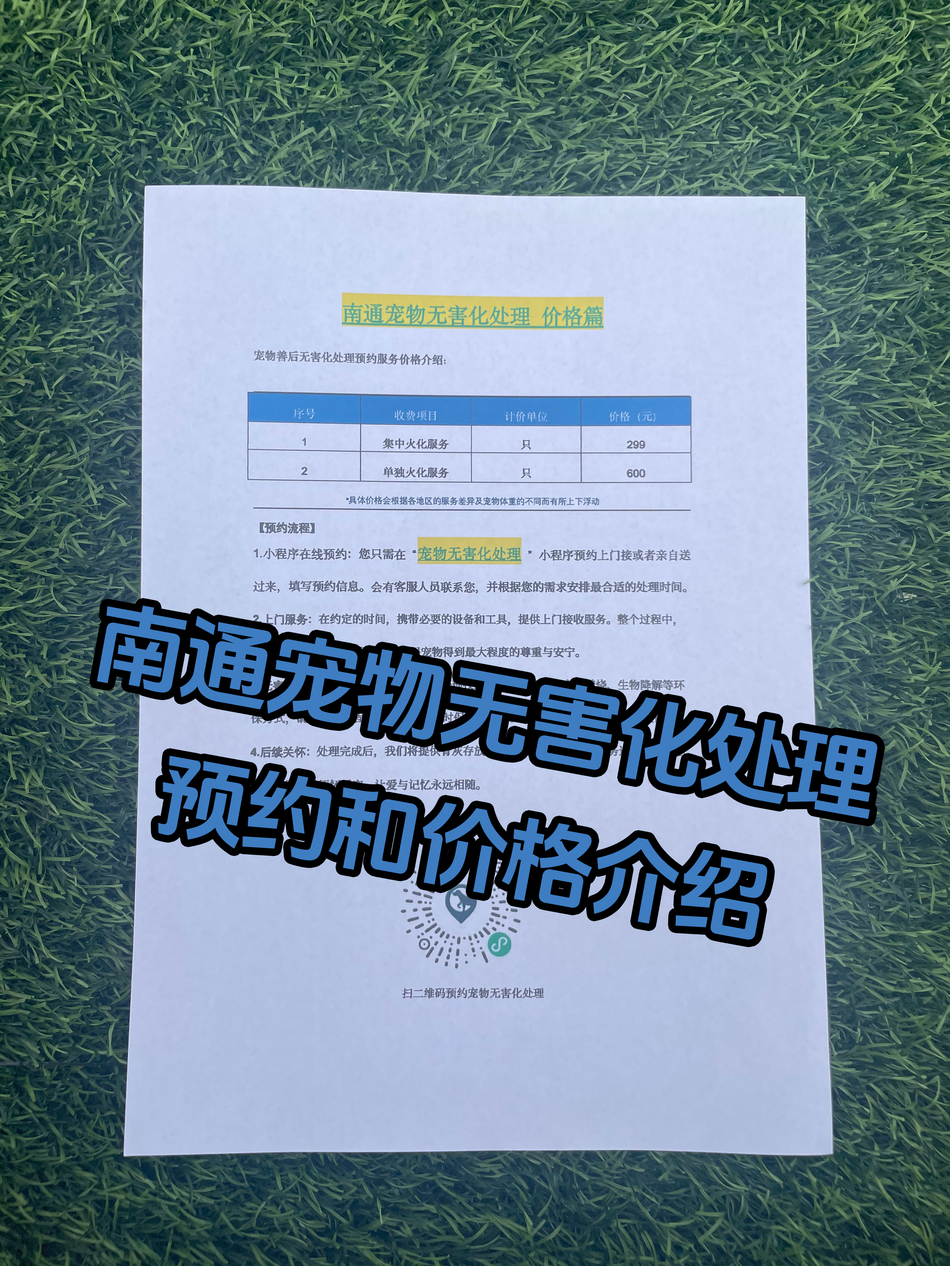 宣州宠摆渡服务