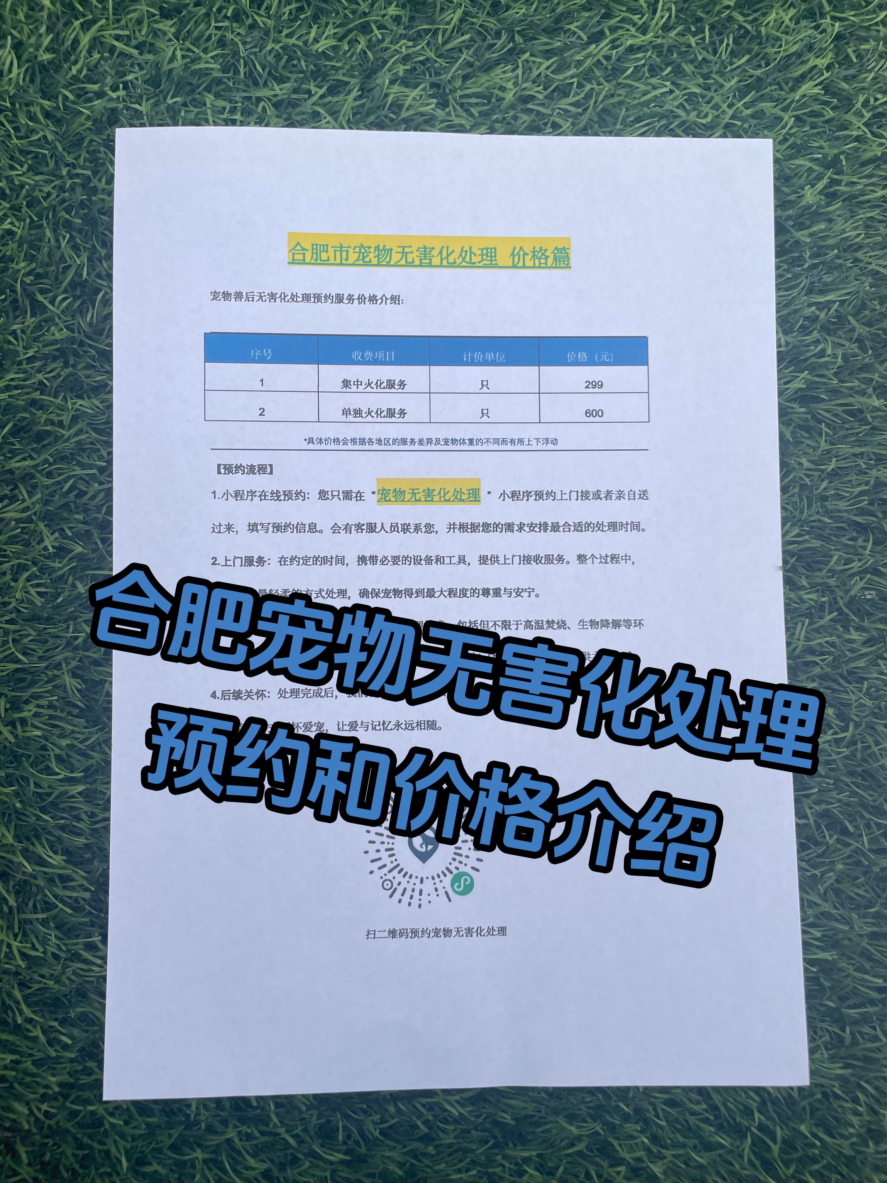 永州宠物无害化处理