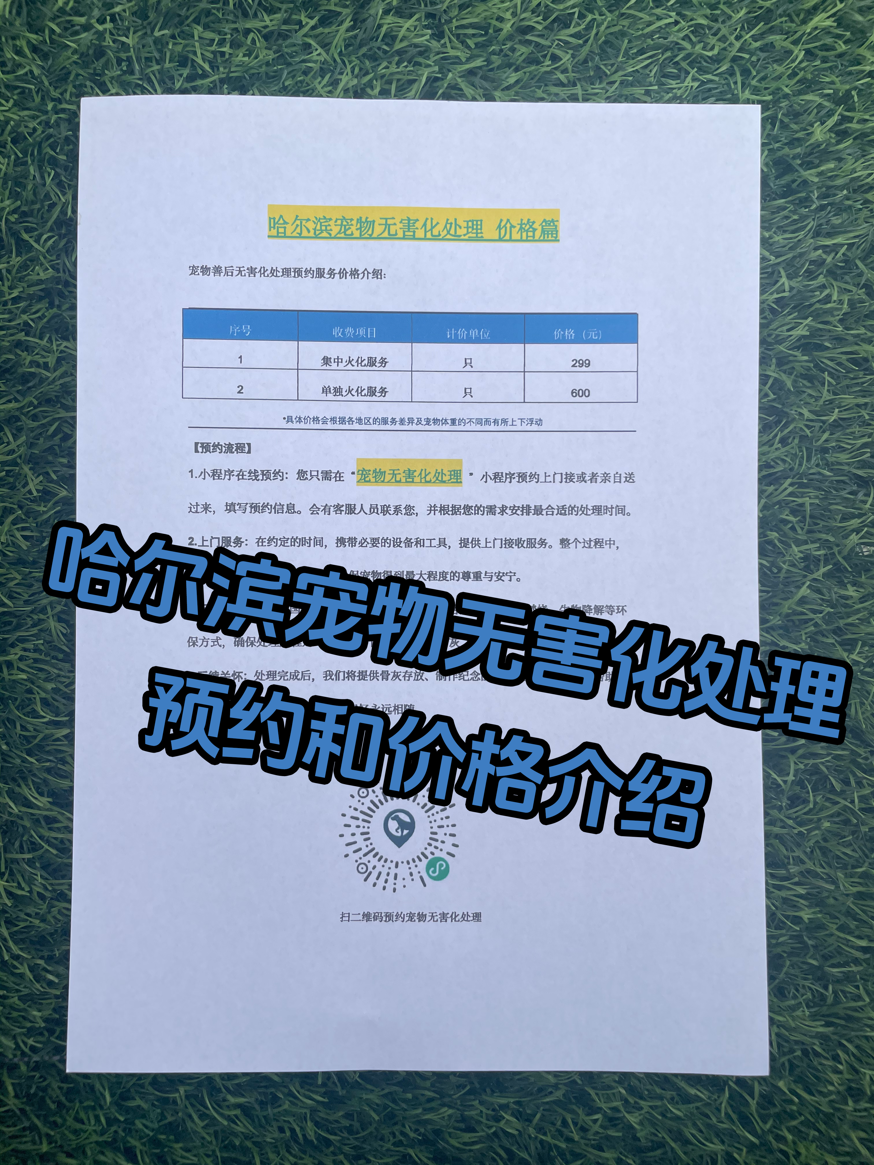 贺州宠物无害化处理