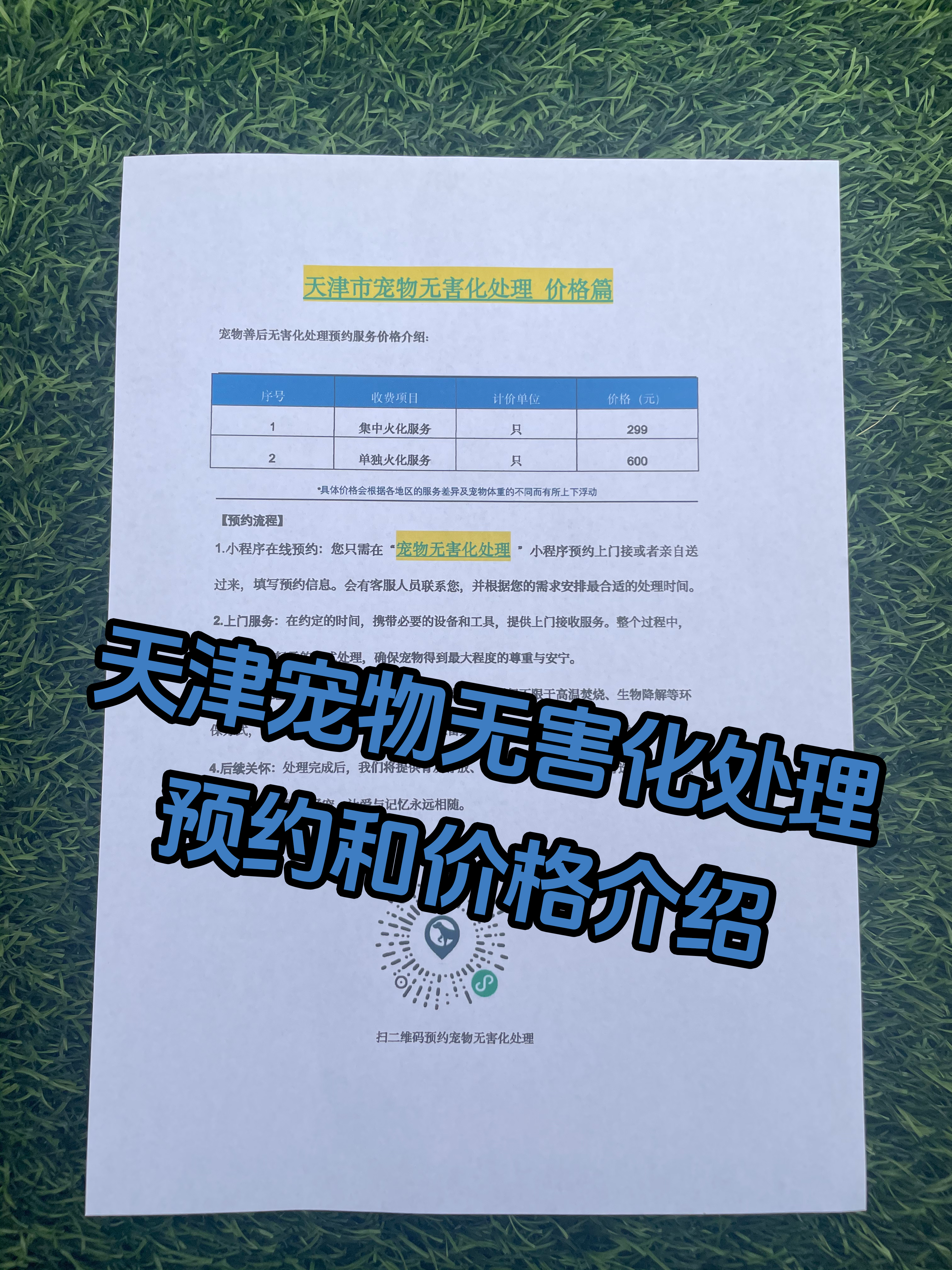 九华山宠物无害化