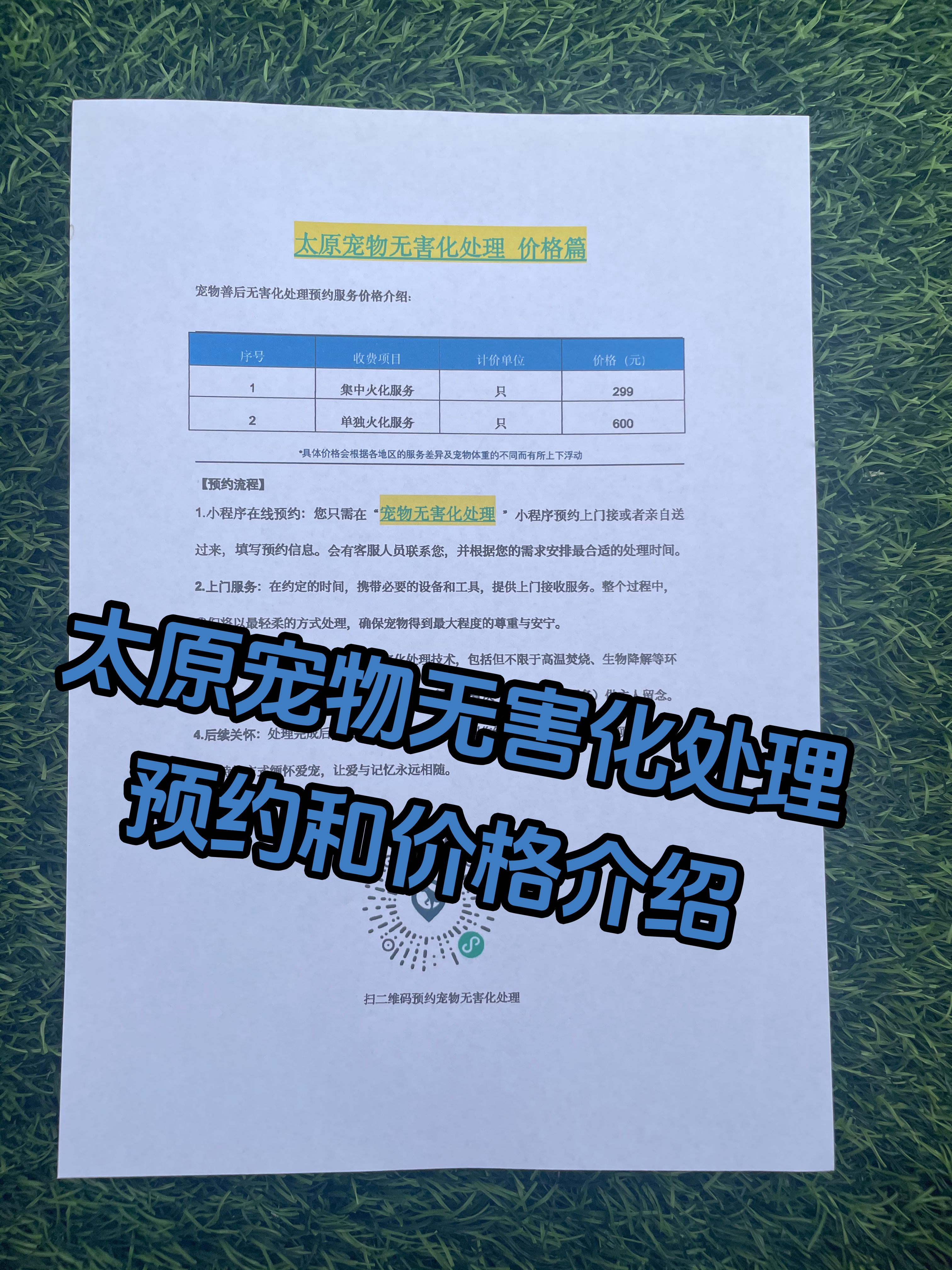 九华山宠摆渡服务