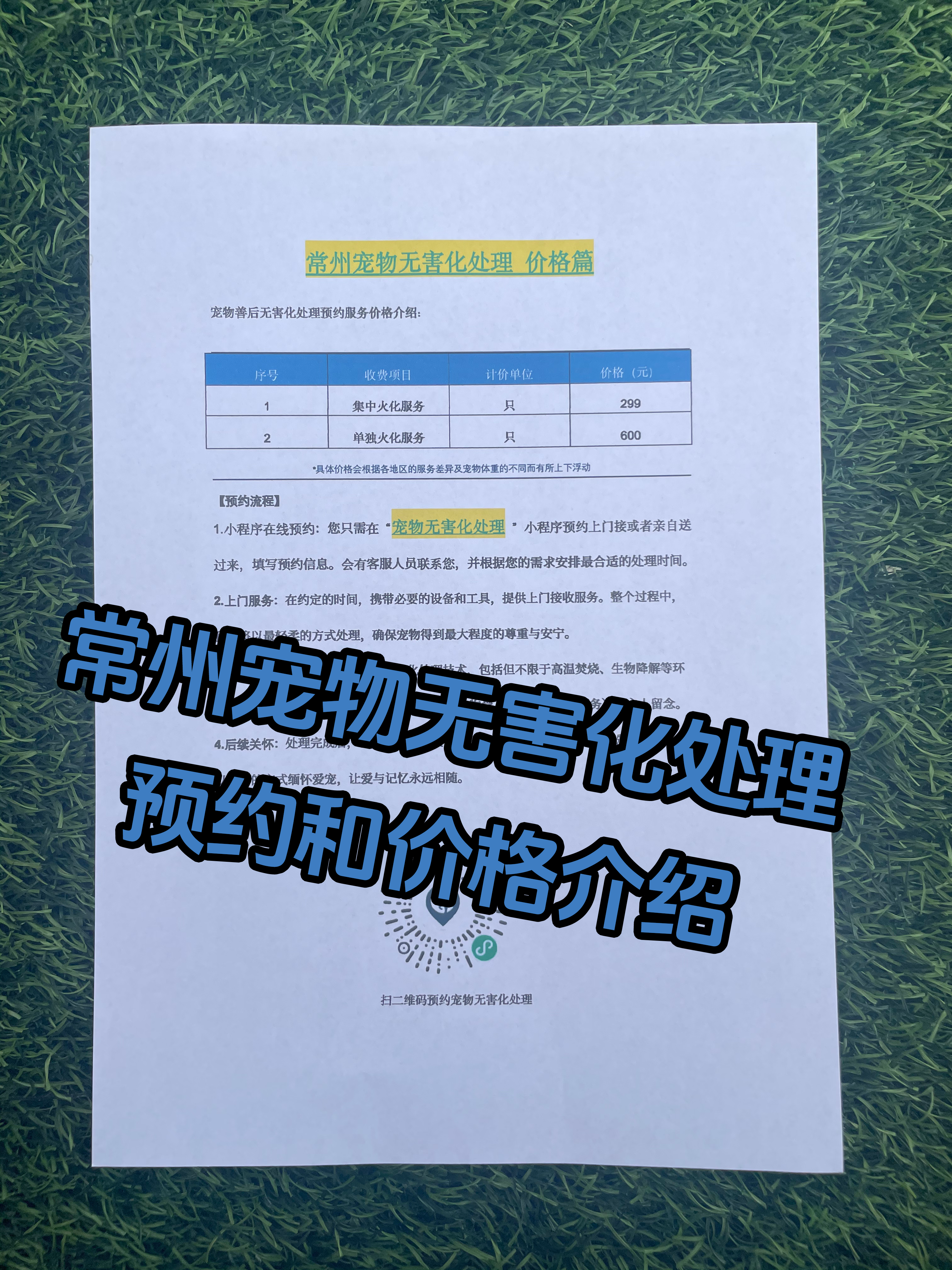 肇庆宠物遗体规范处理