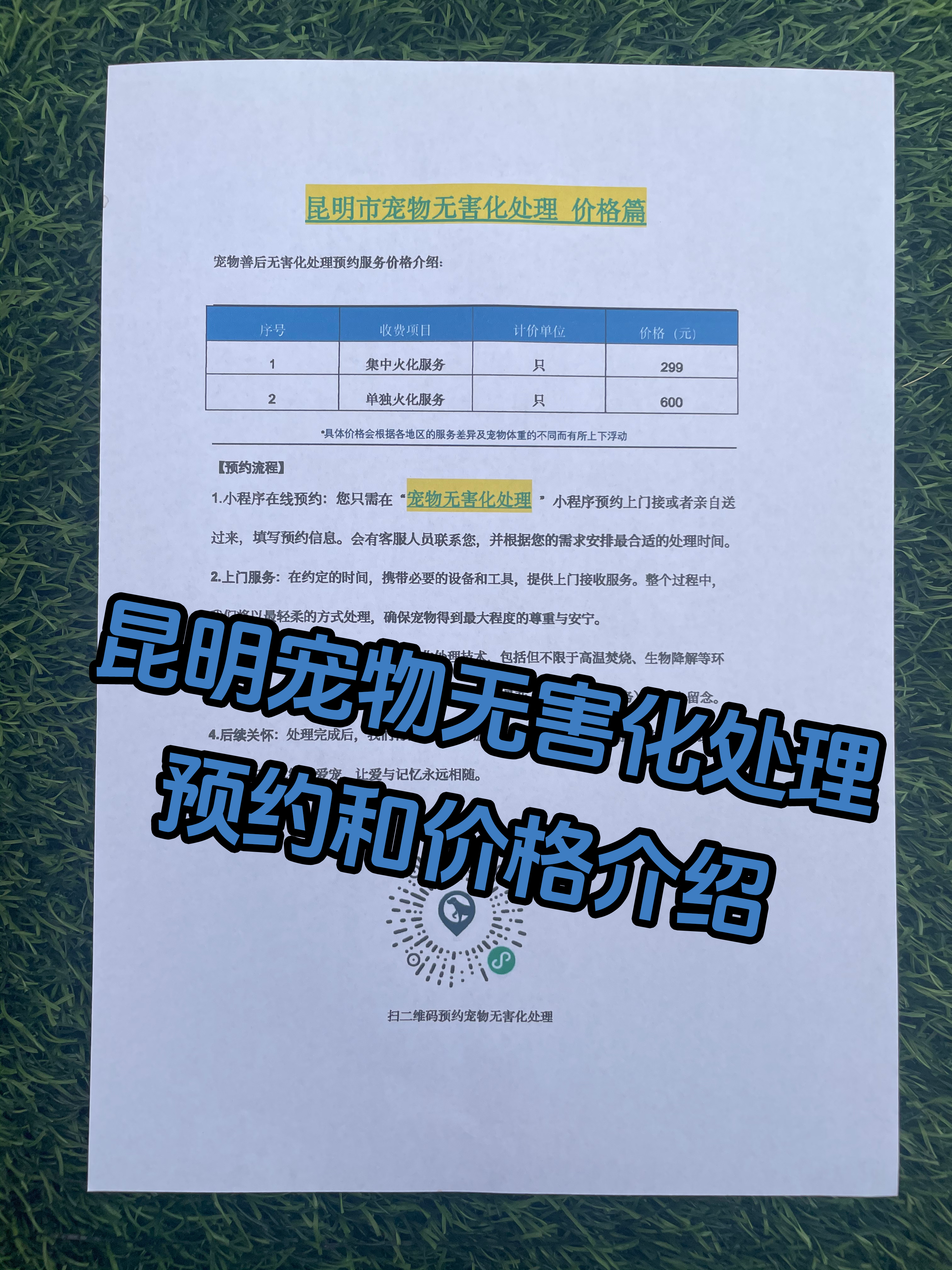 淮北宠摆渡服务
