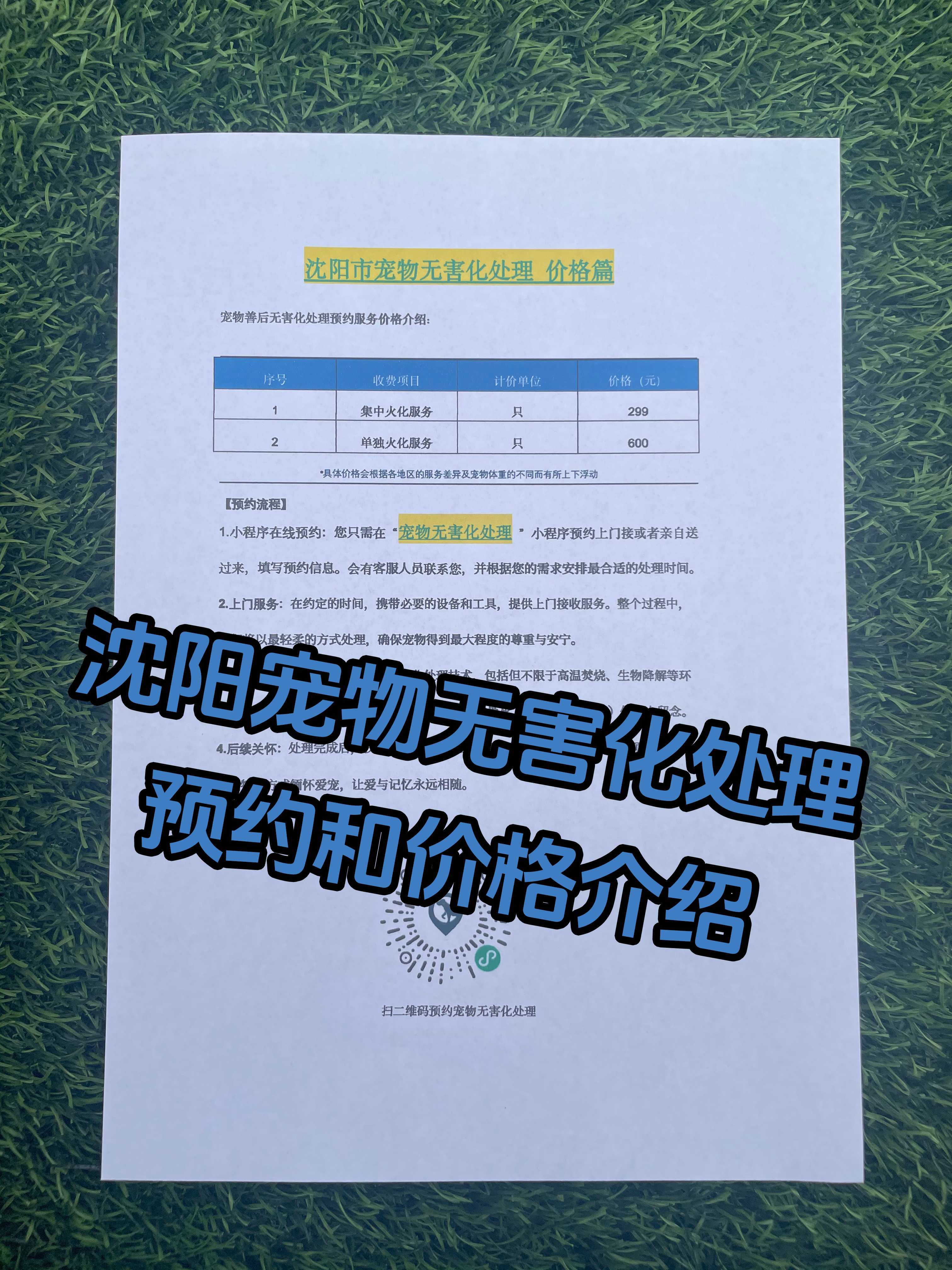 淮北宠物接运服务