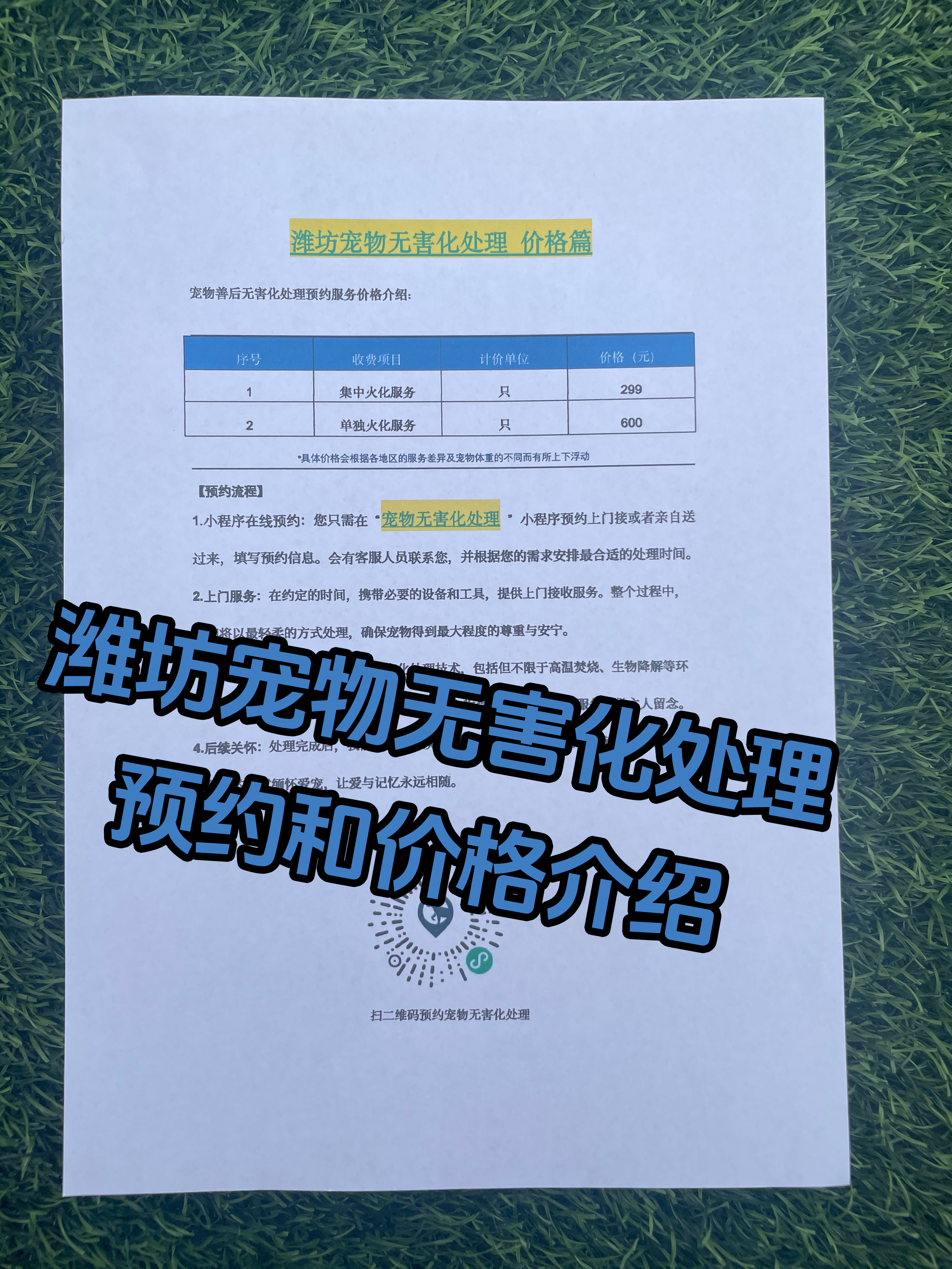 濉溪宠摆渡服务