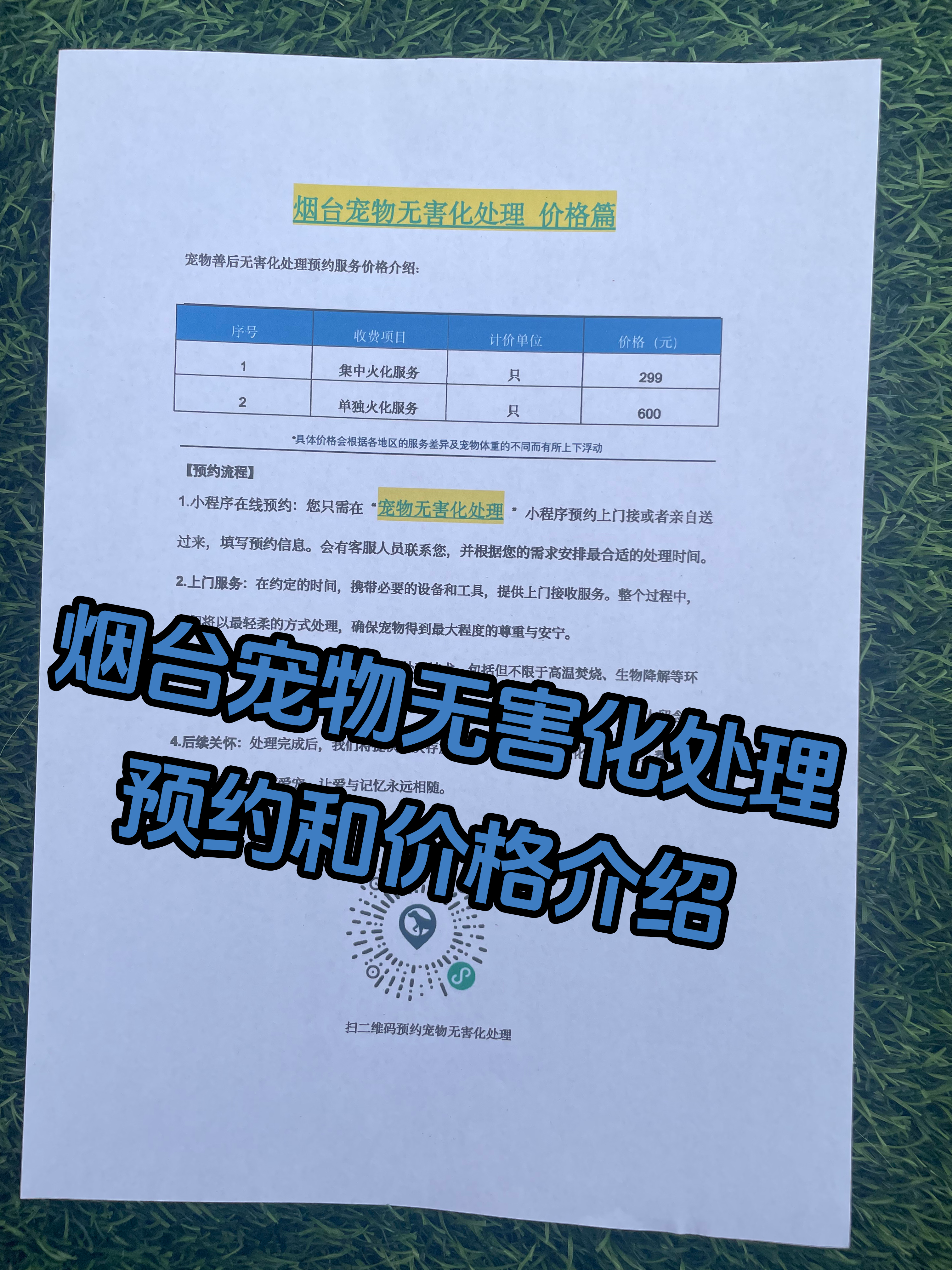 昆山宠物遗体规范处理
