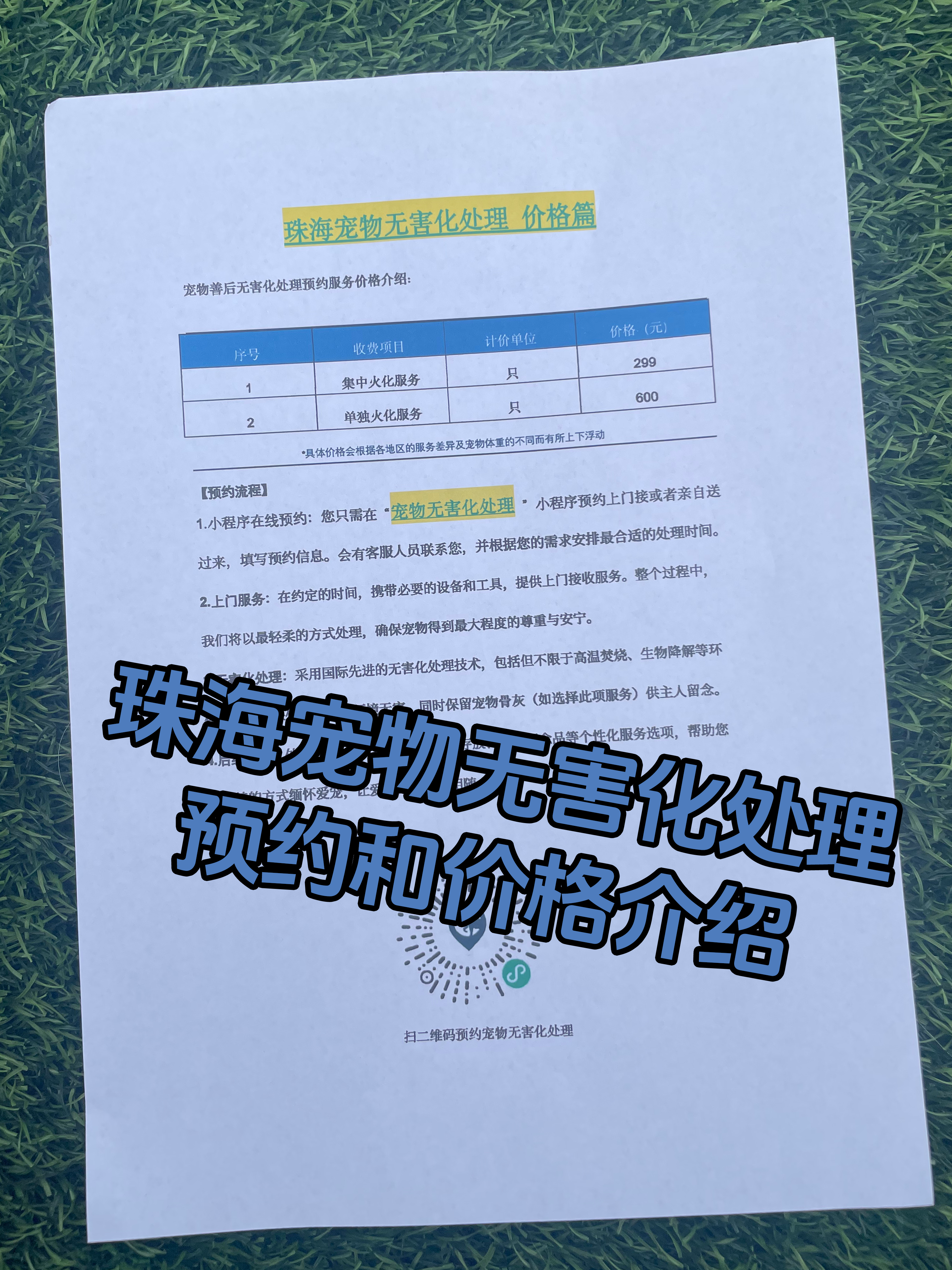 濉溪宠物无害化处理流程