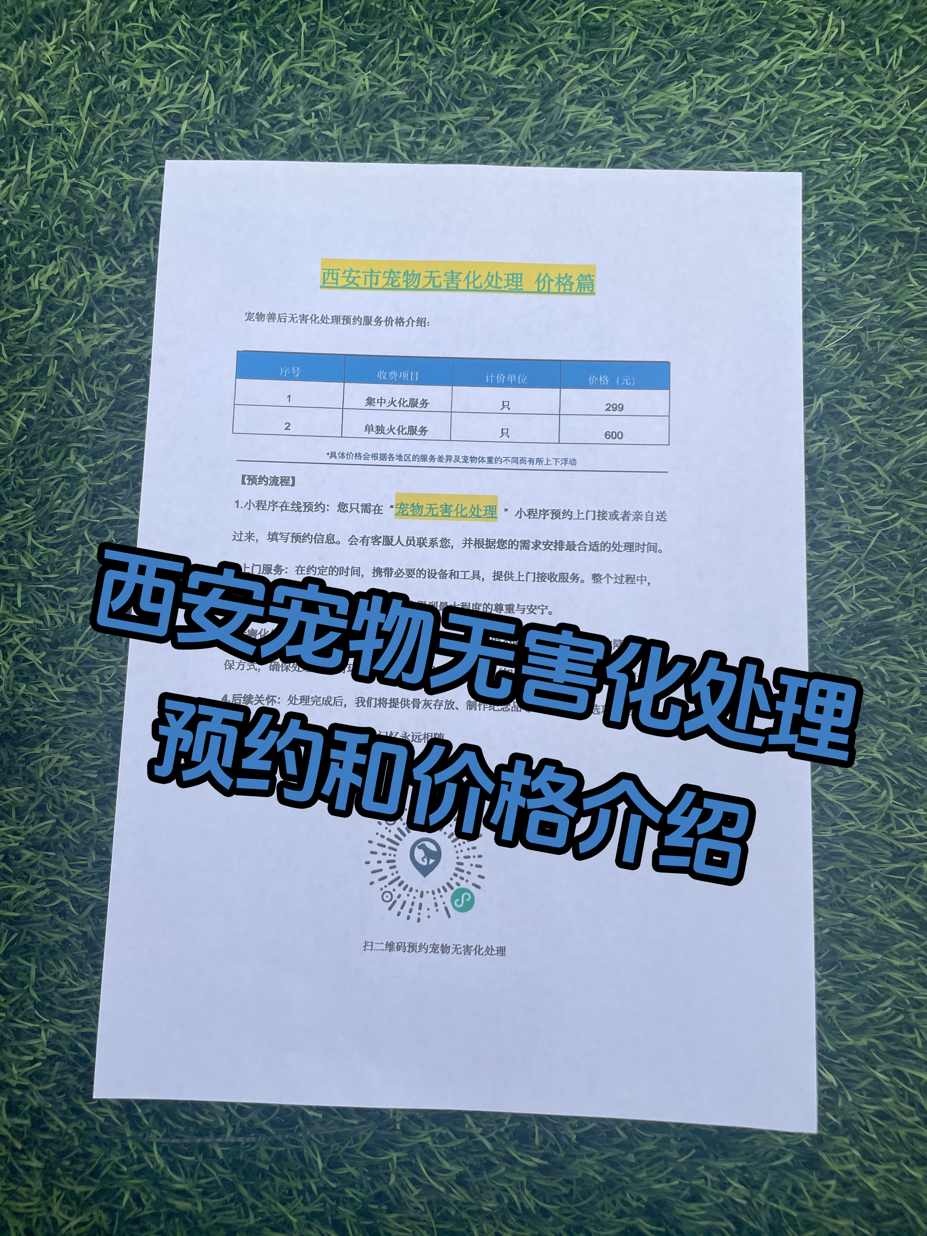 潮州宠物遗体规范处理