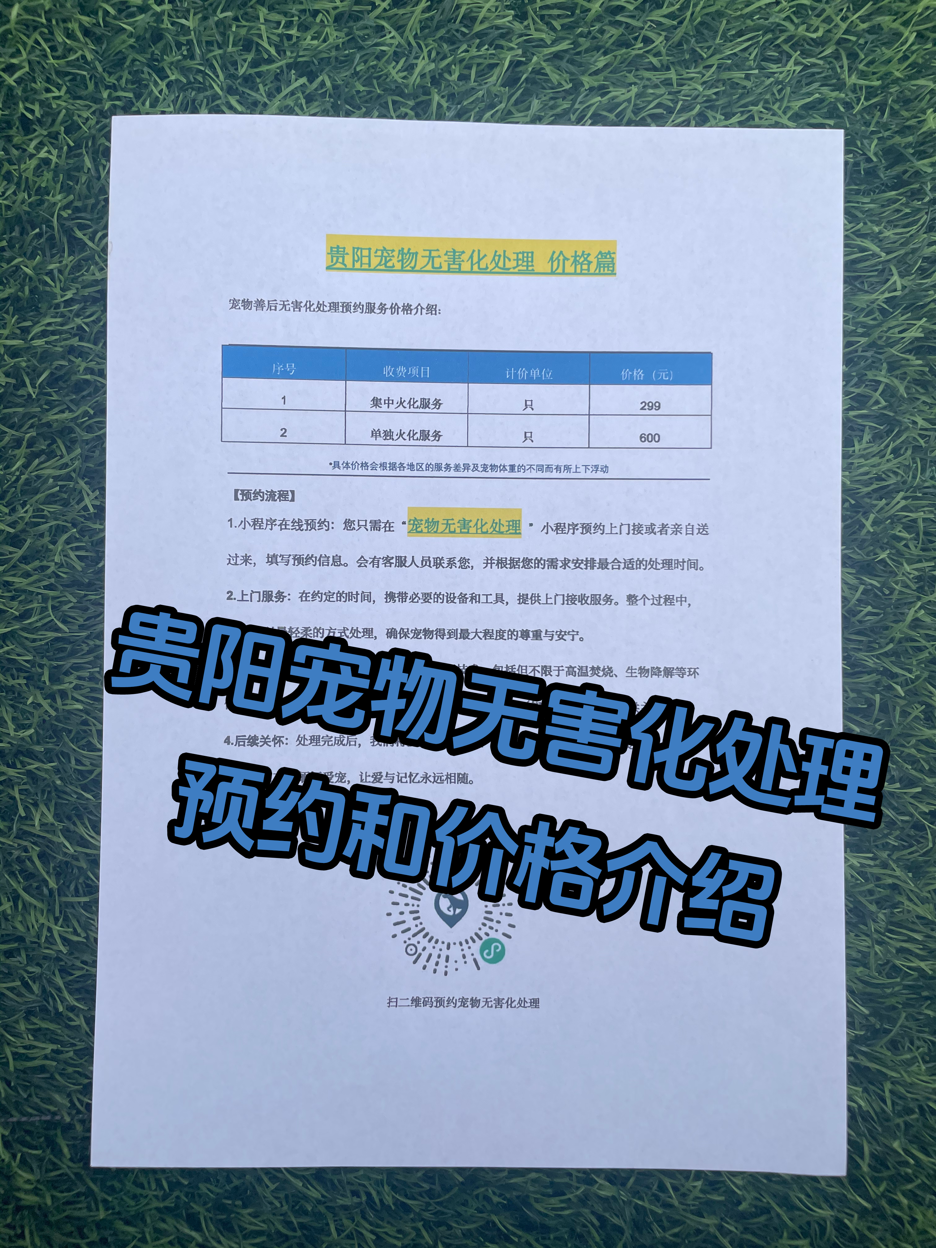 萧县宠摆渡服务