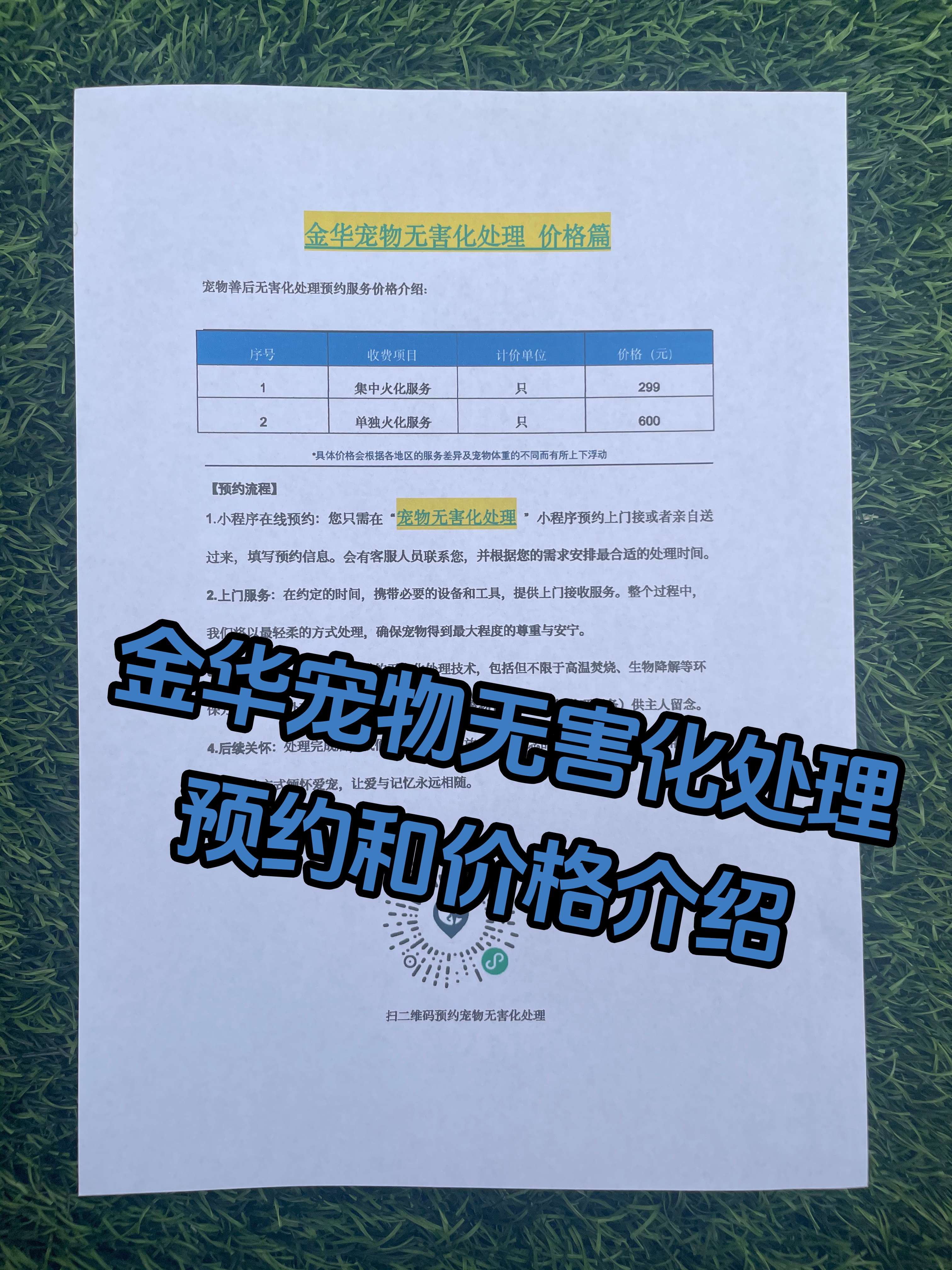 萧县宠物接运服务