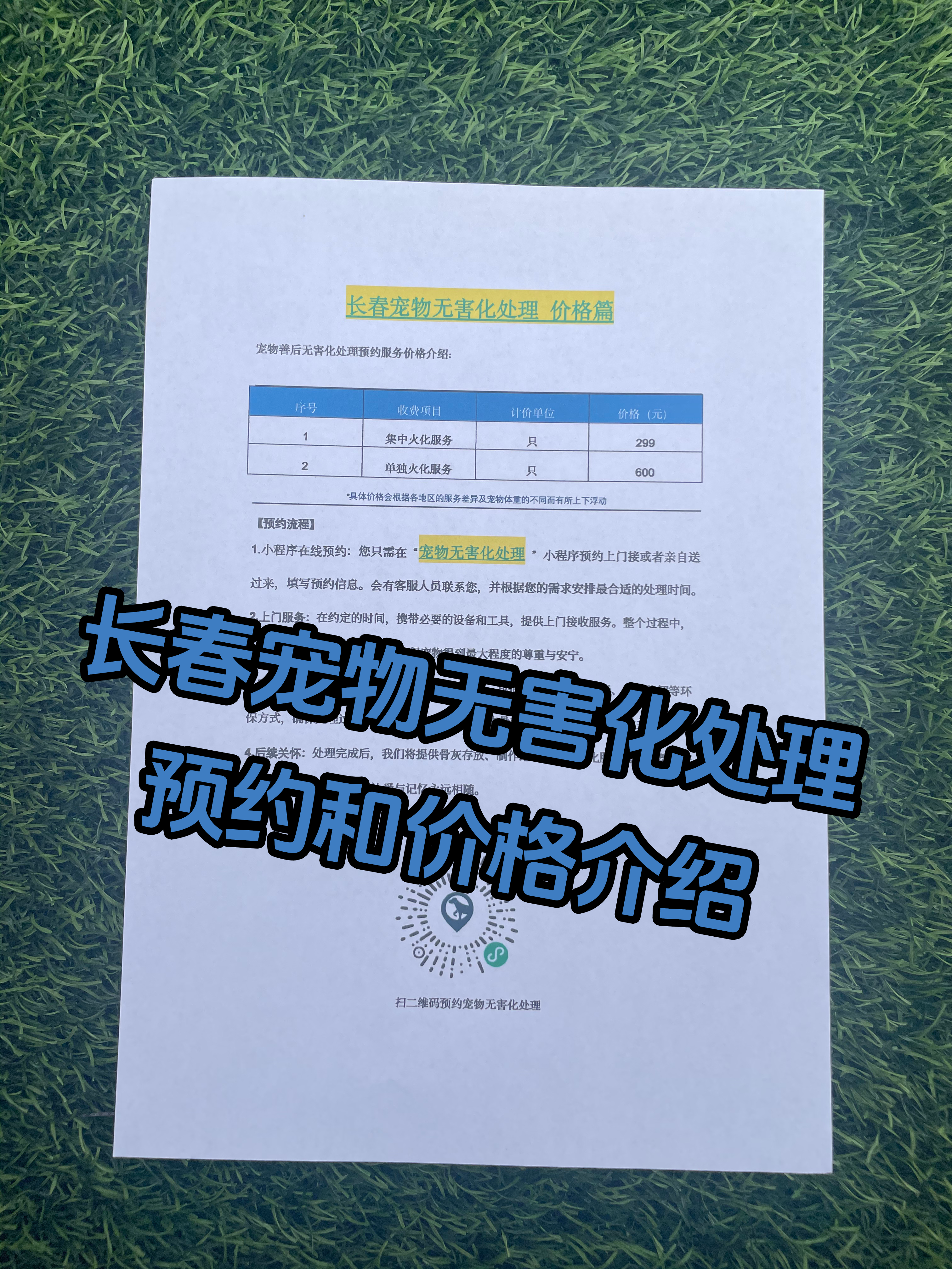 钦州宠物遗体规范处理