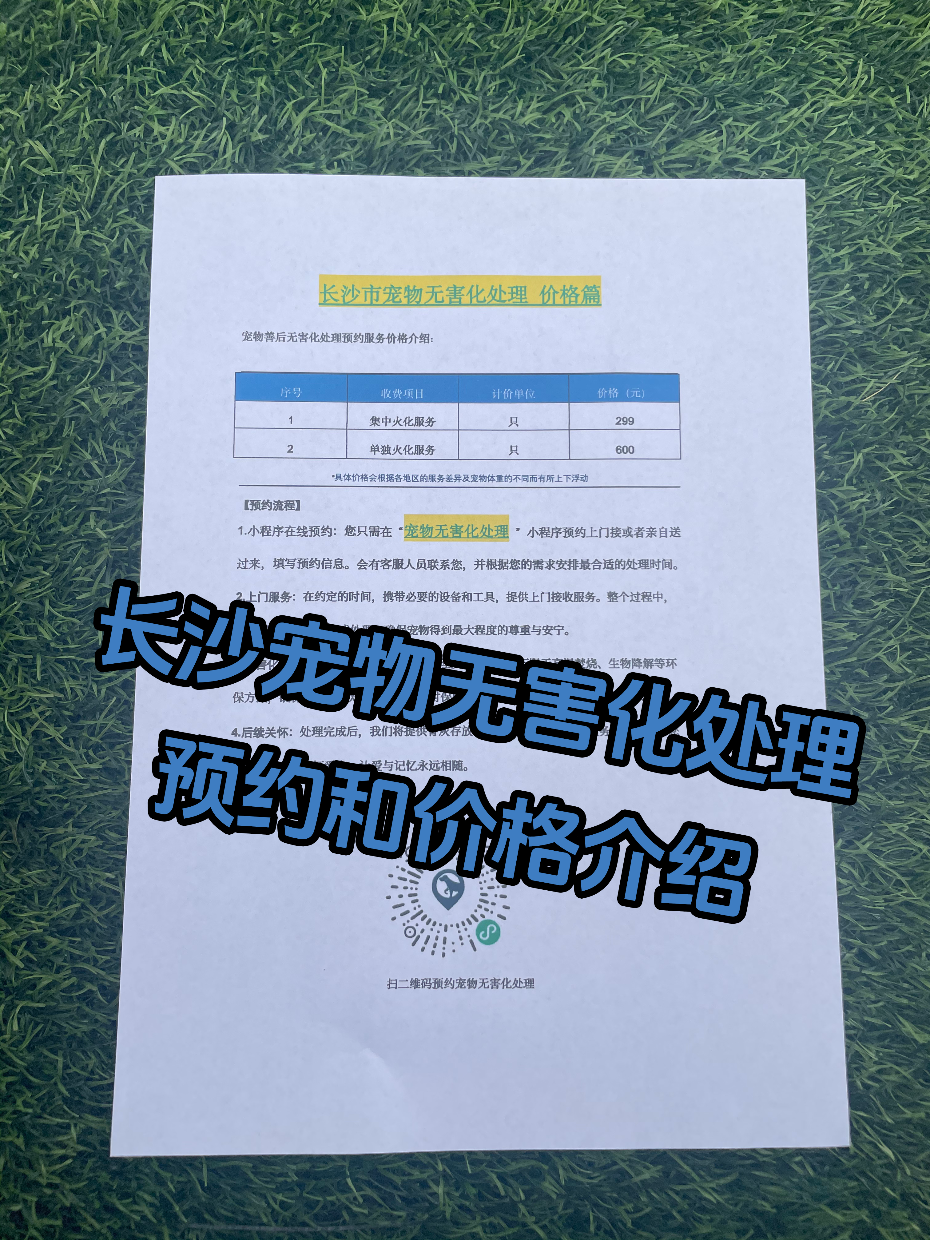 萧县宠物骨灰安置
