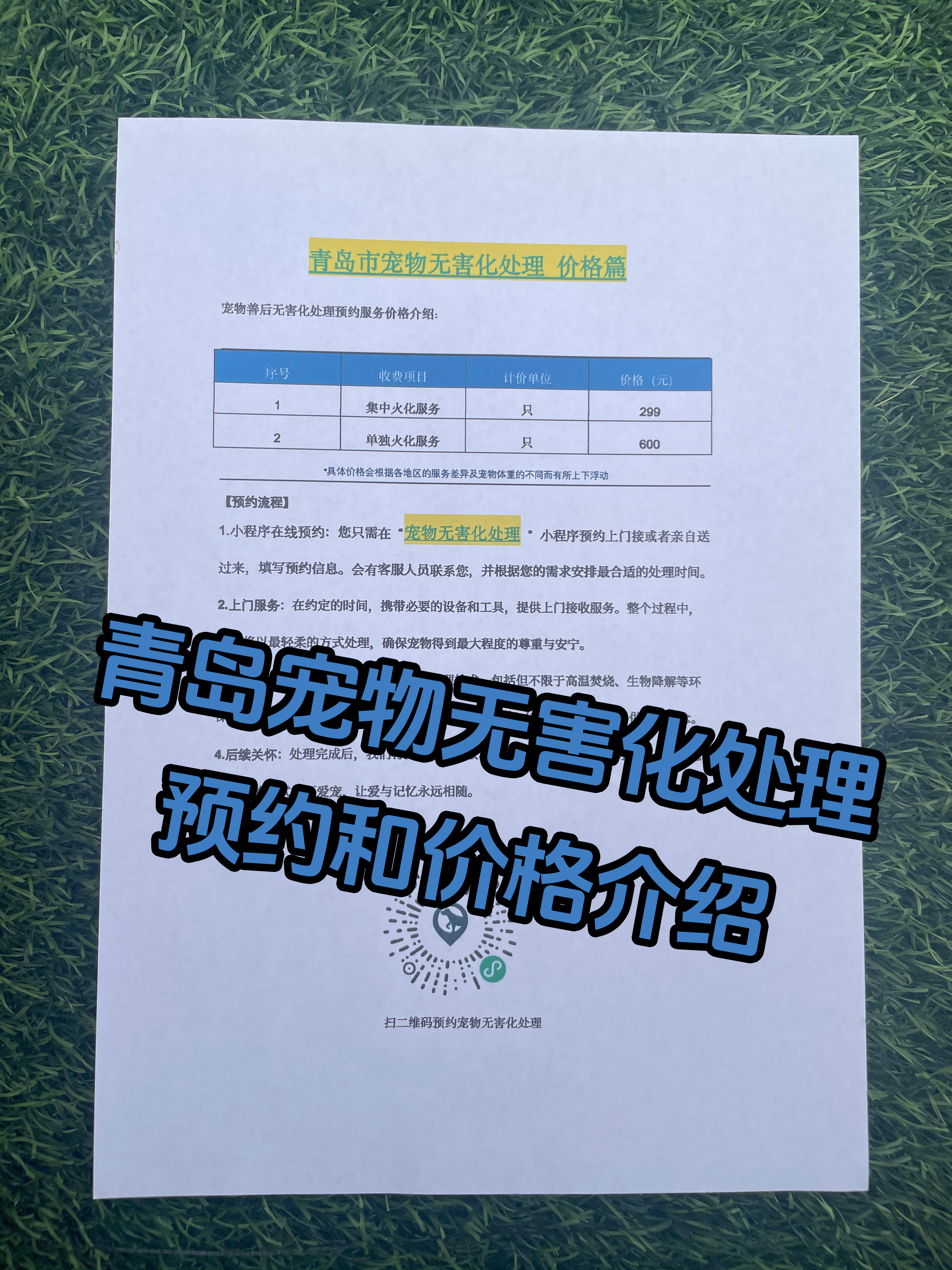 泗县宠物无害化处理