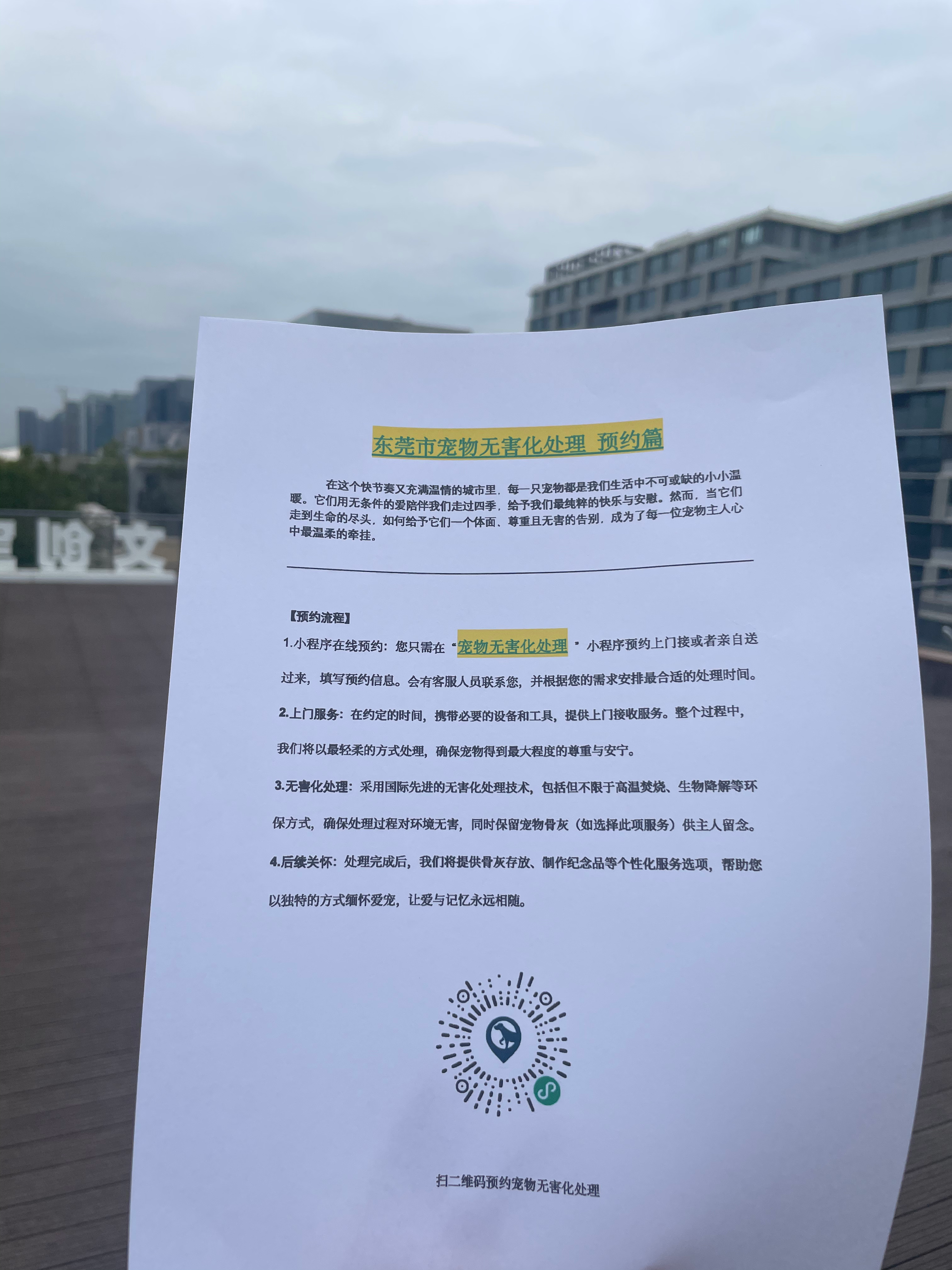 泗县宠摆渡服务