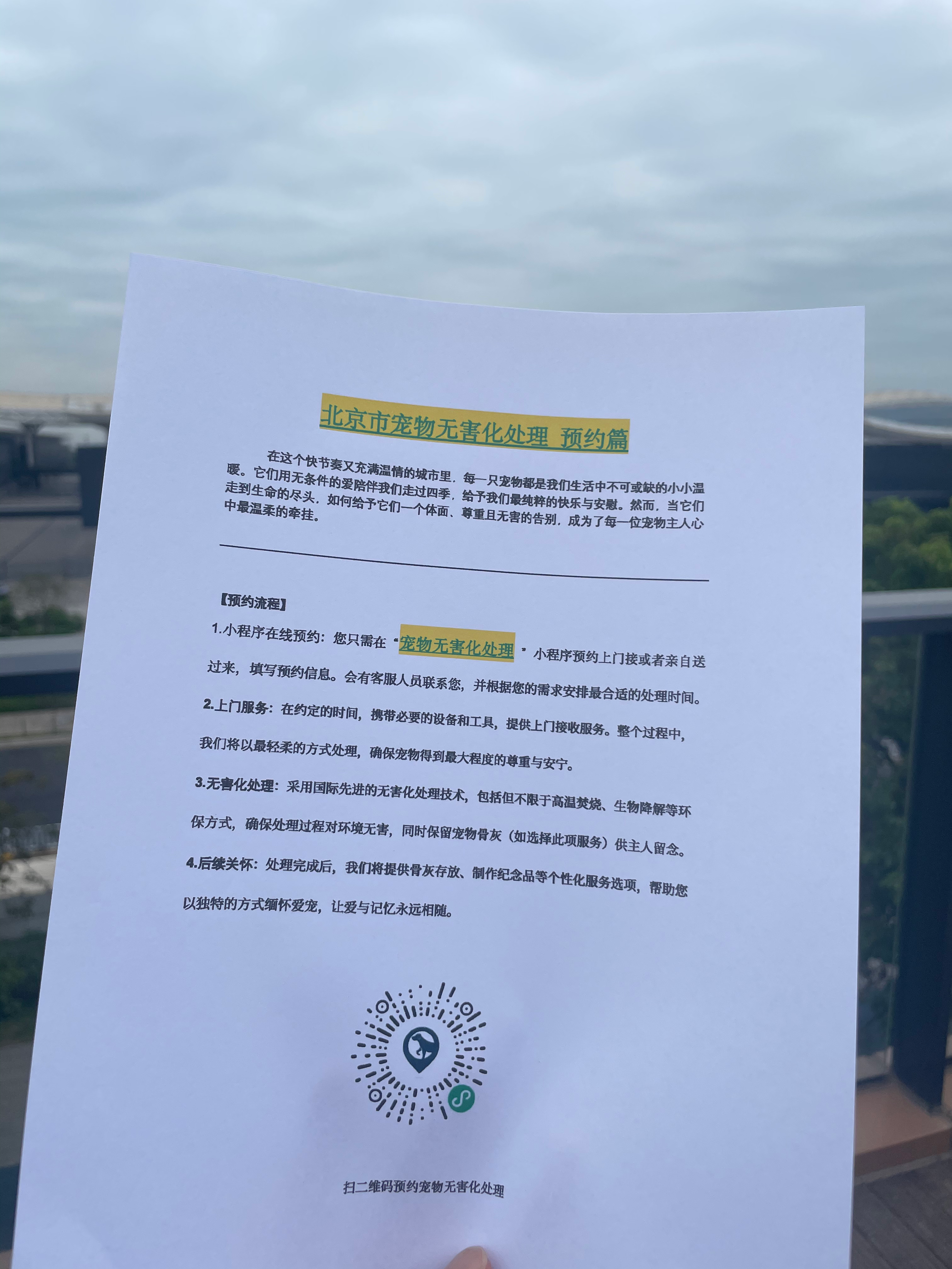泗县宠物骨灰安置