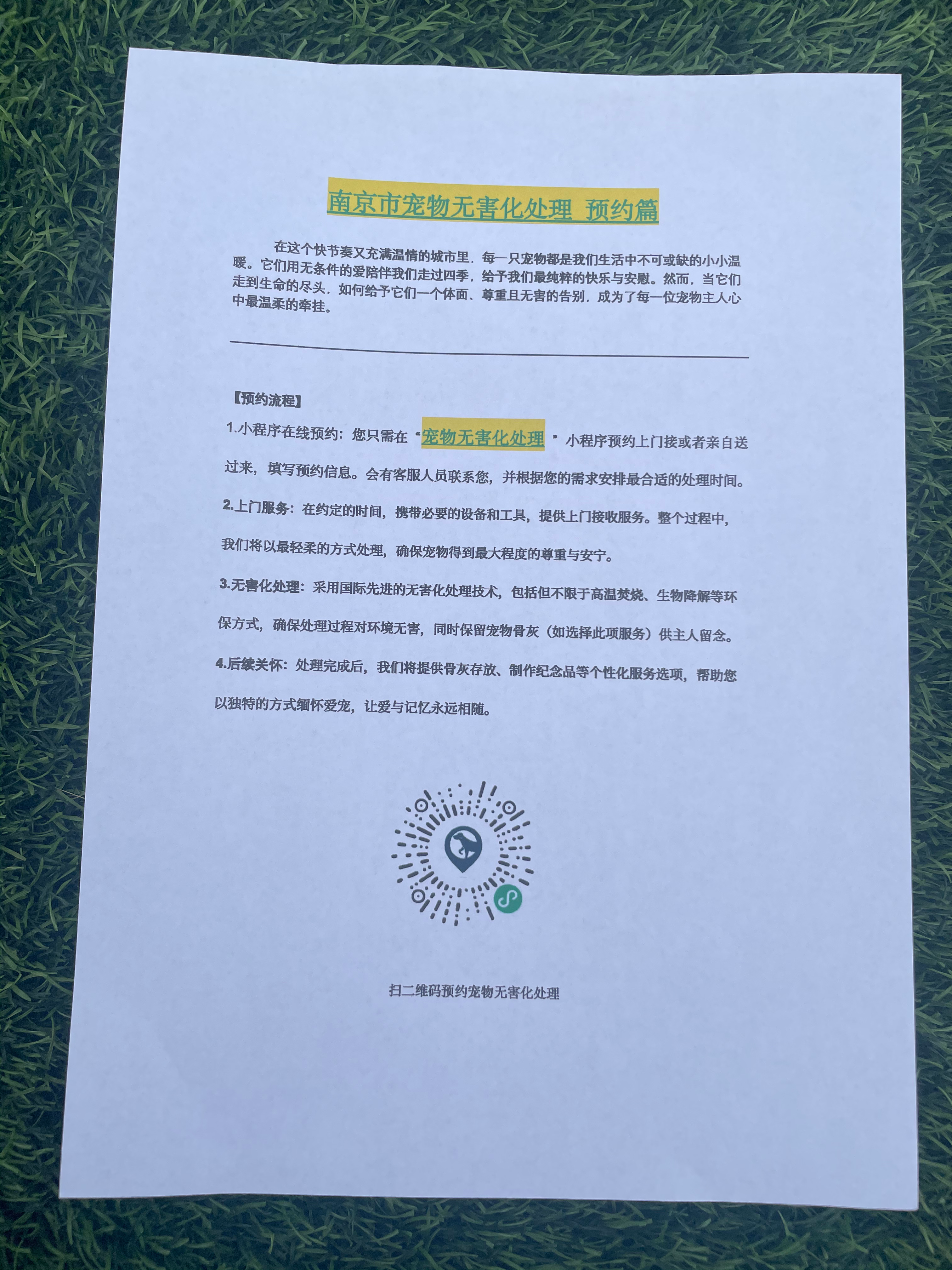 防城港宠物遗体规范处理