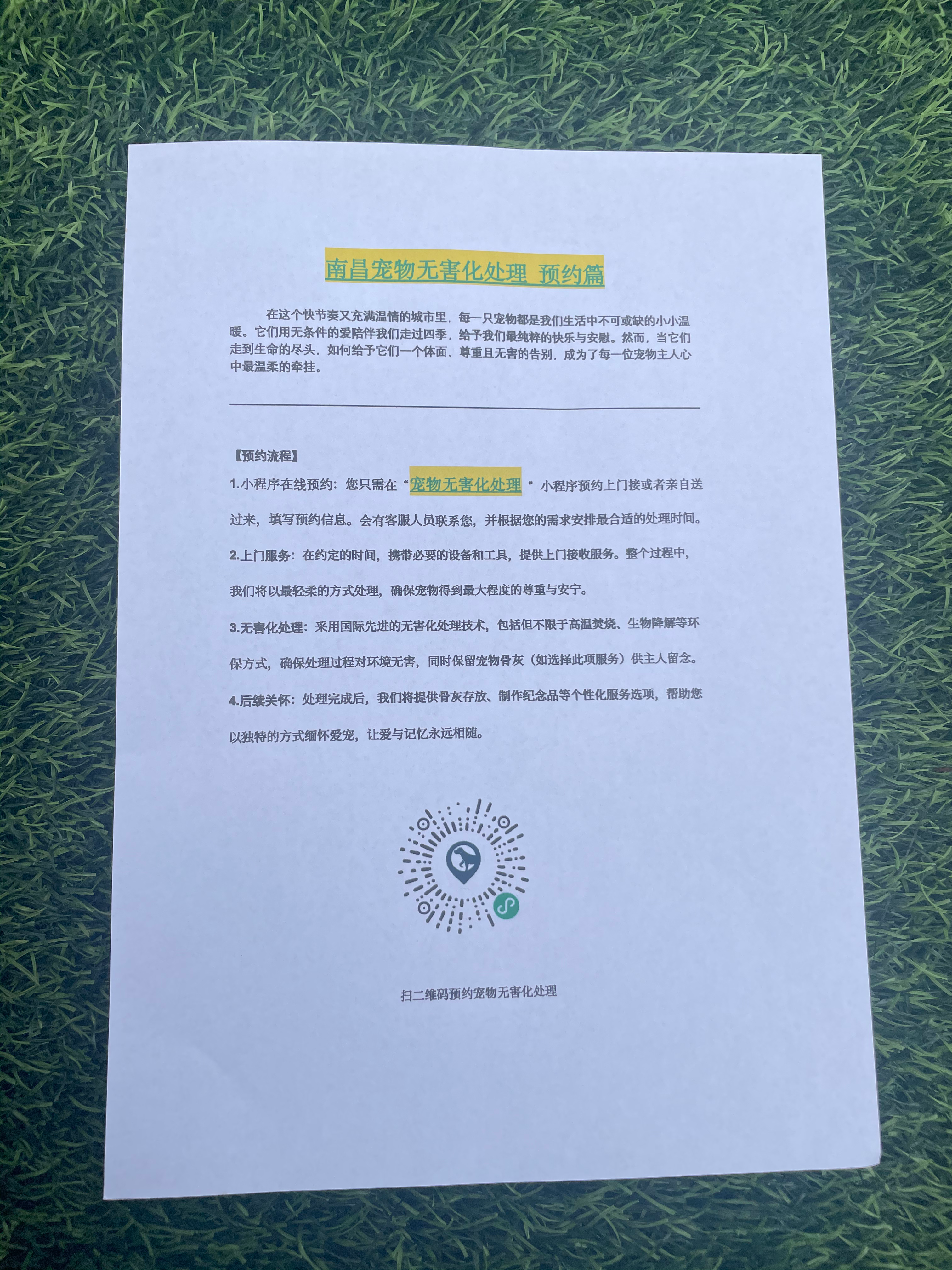 砀山宠摆渡服务