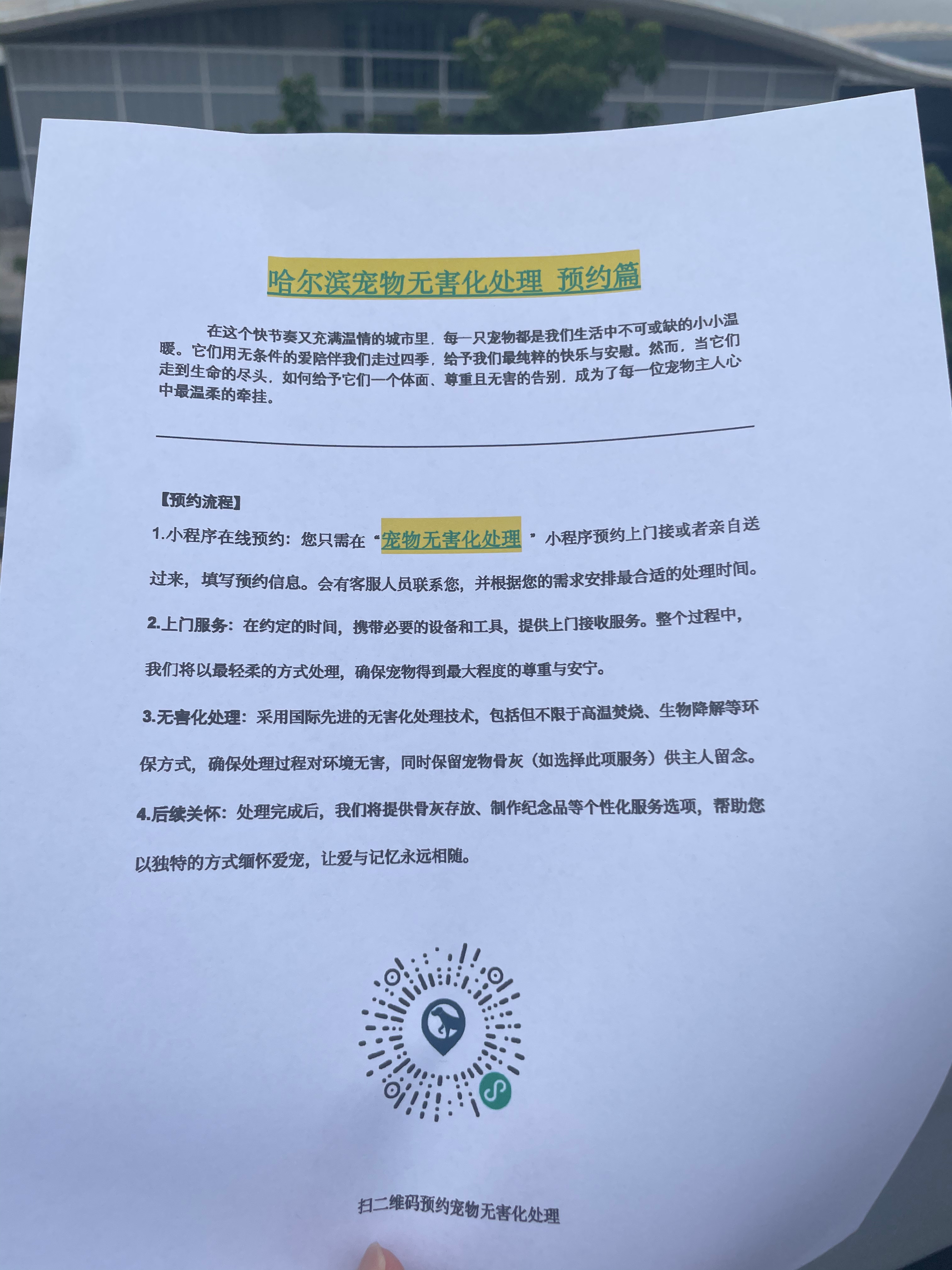 砀山宠物骨灰安置