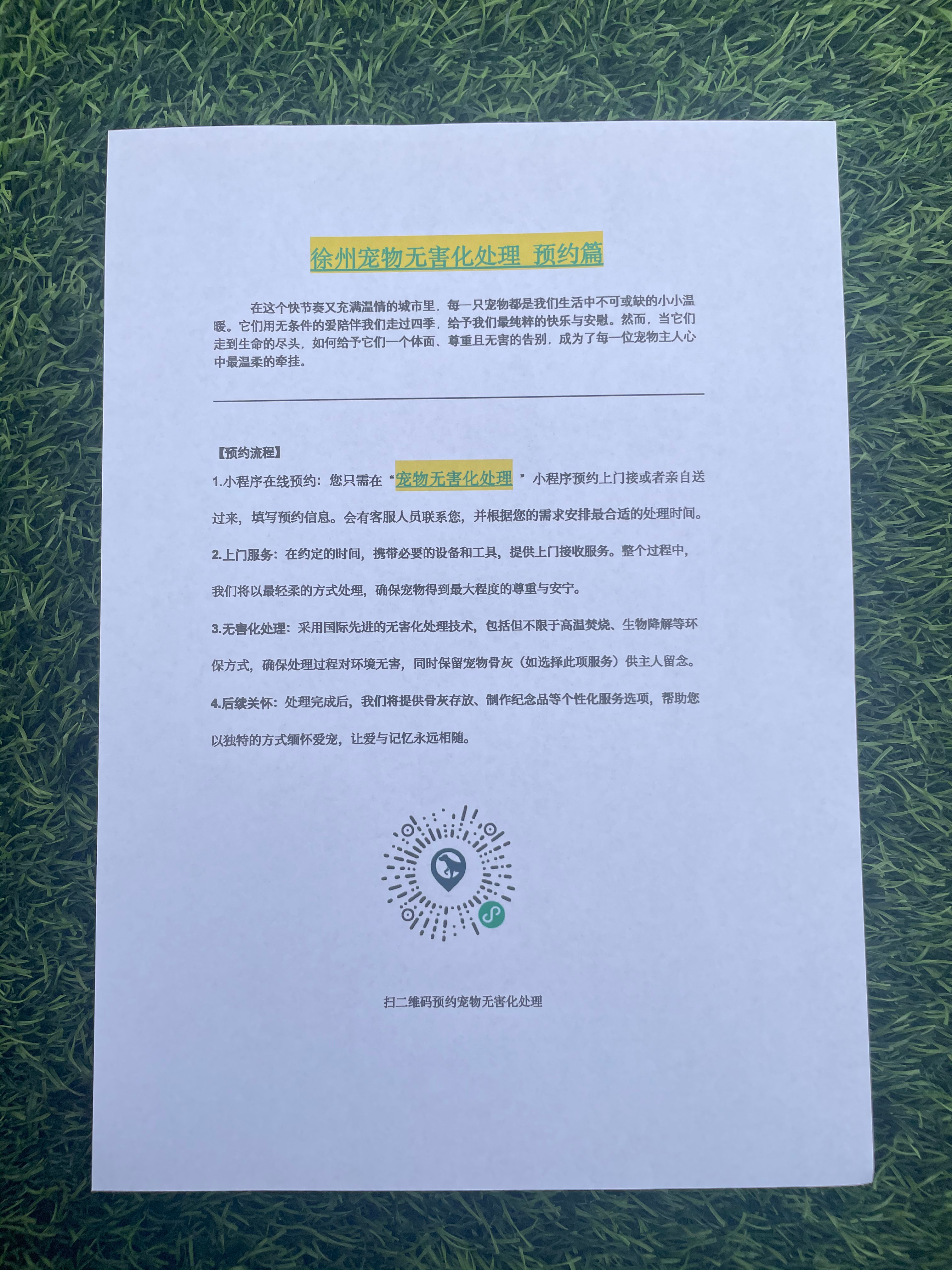 嘉兴宠物遗体规范处理