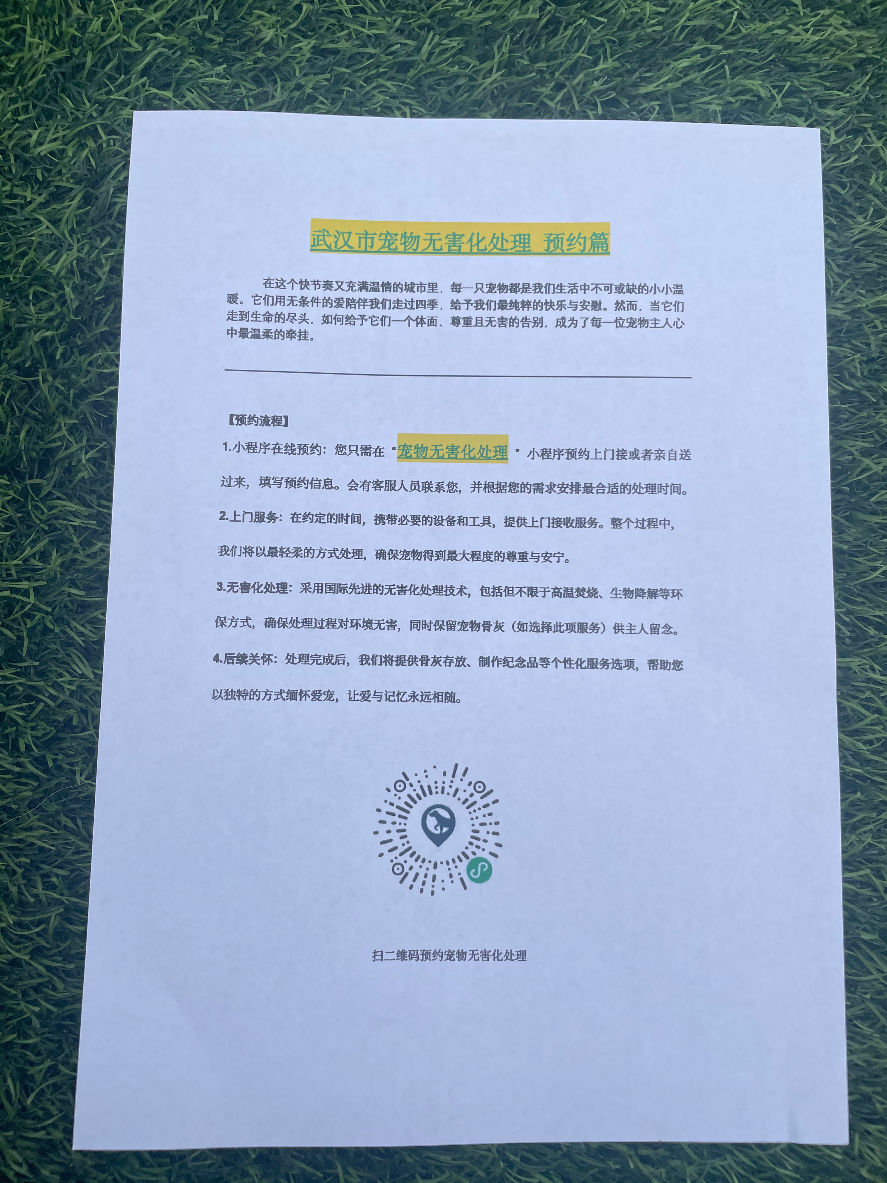 淮南宠物接运服务