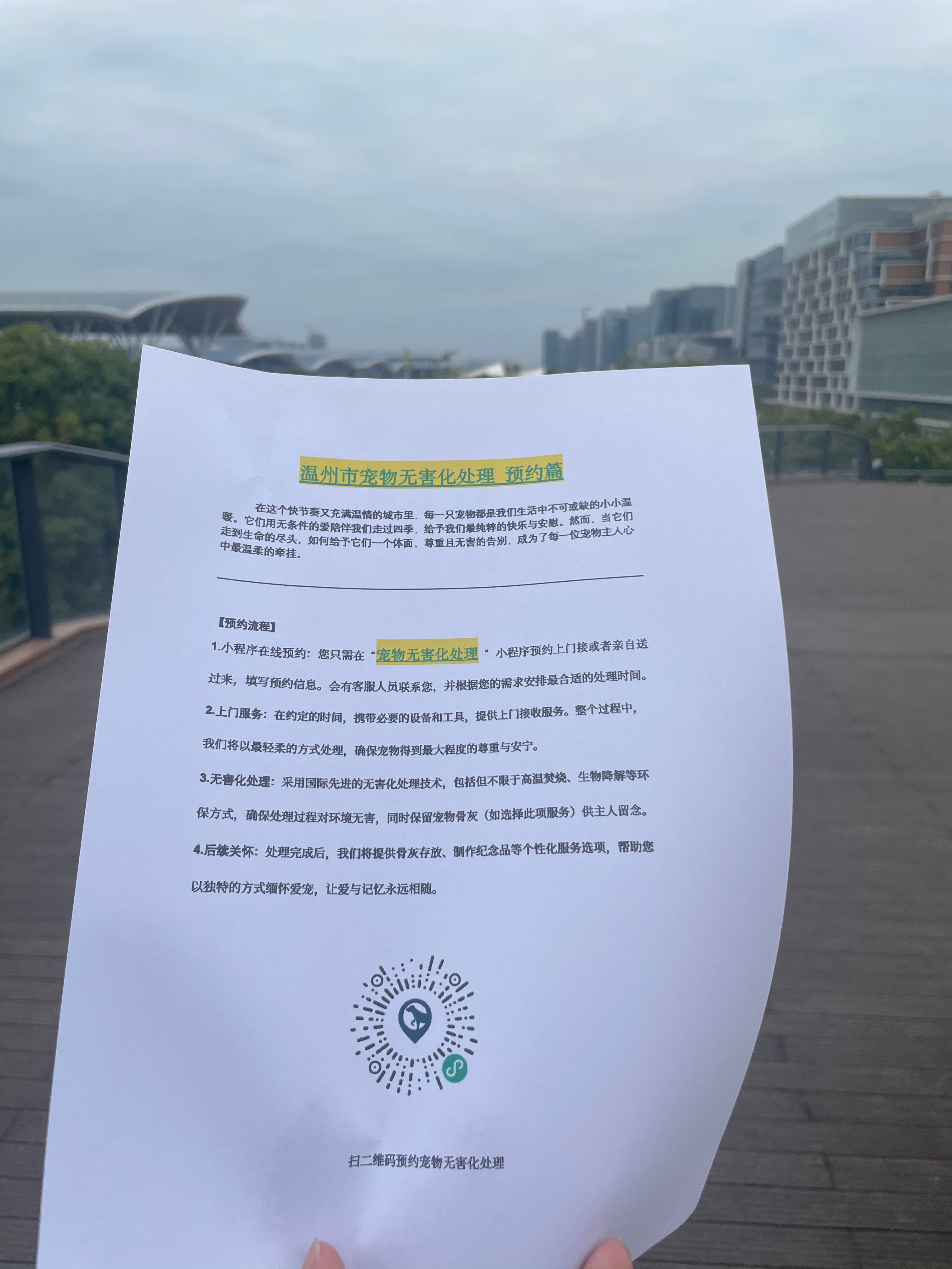 凤台宠摆渡服务