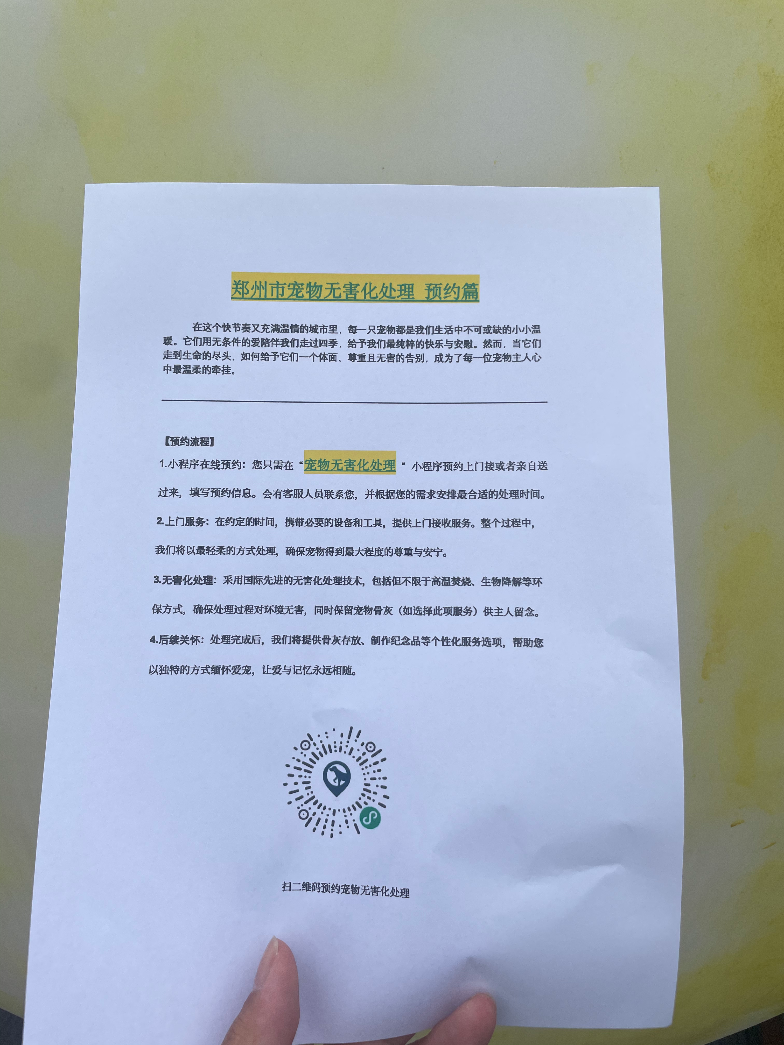 来宾宠物遗体规范处理
