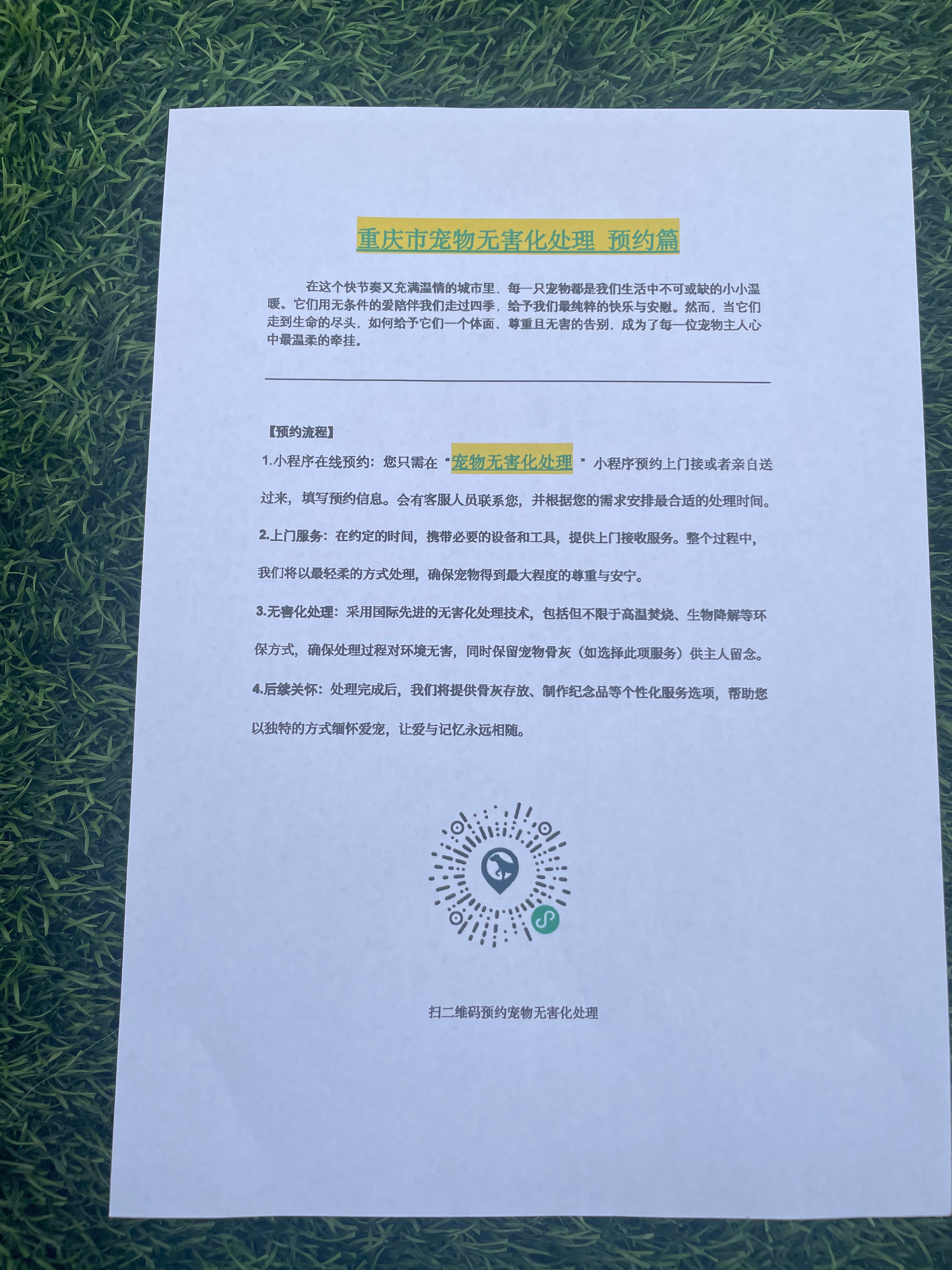 寿县宠物接运服务