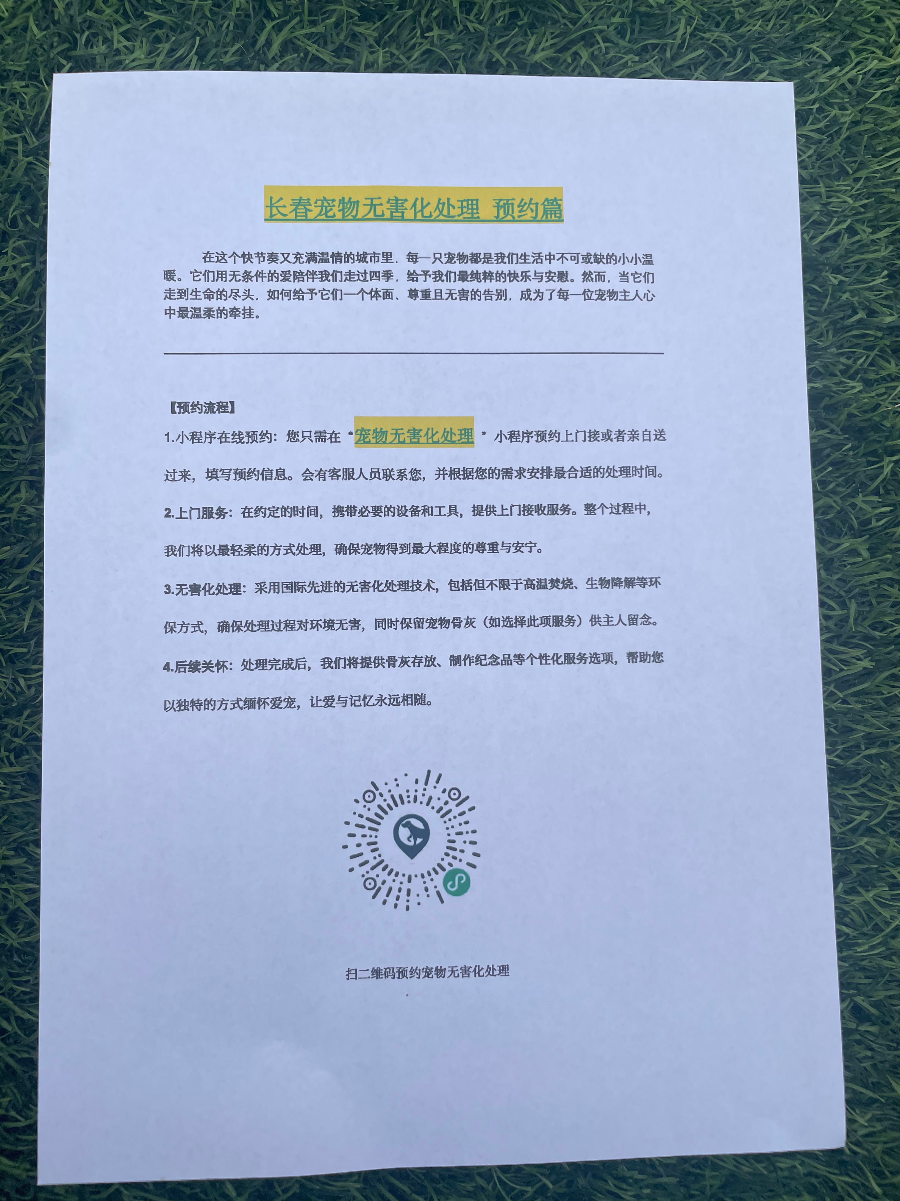 石家庄宠物遗体规范处理