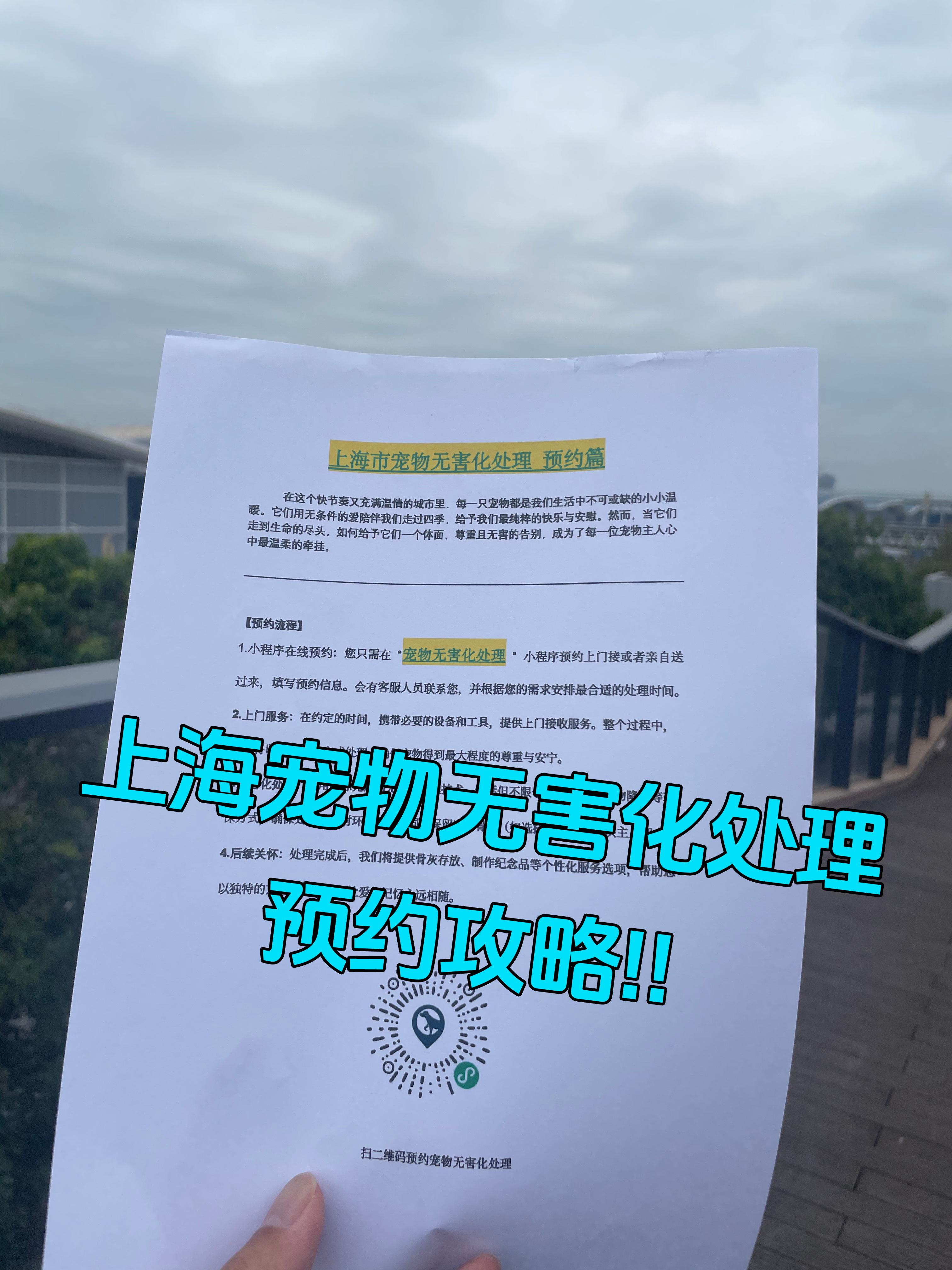 萍乡宠物无害化处理机构