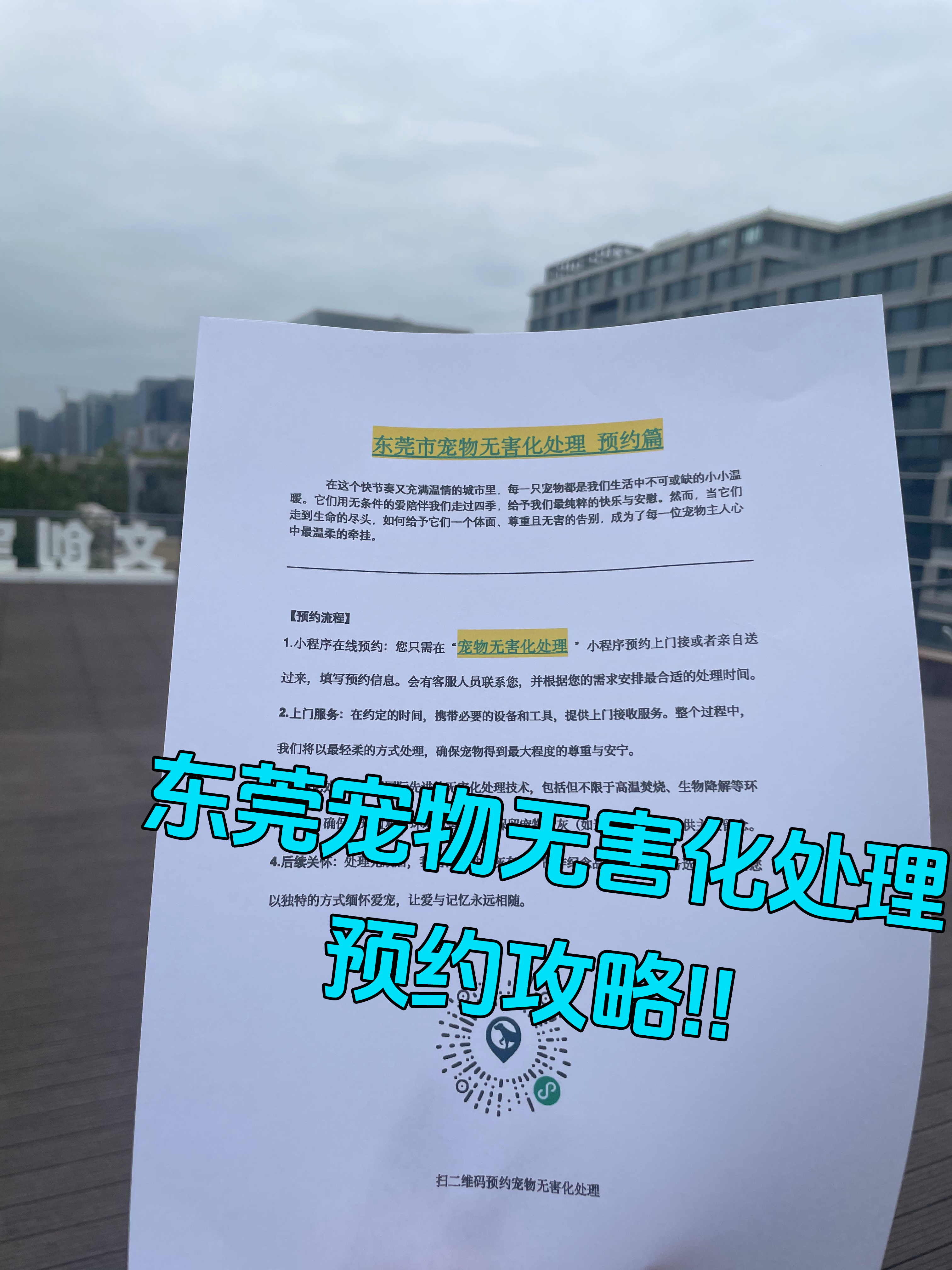 贵阳宠物遗体规范处理
