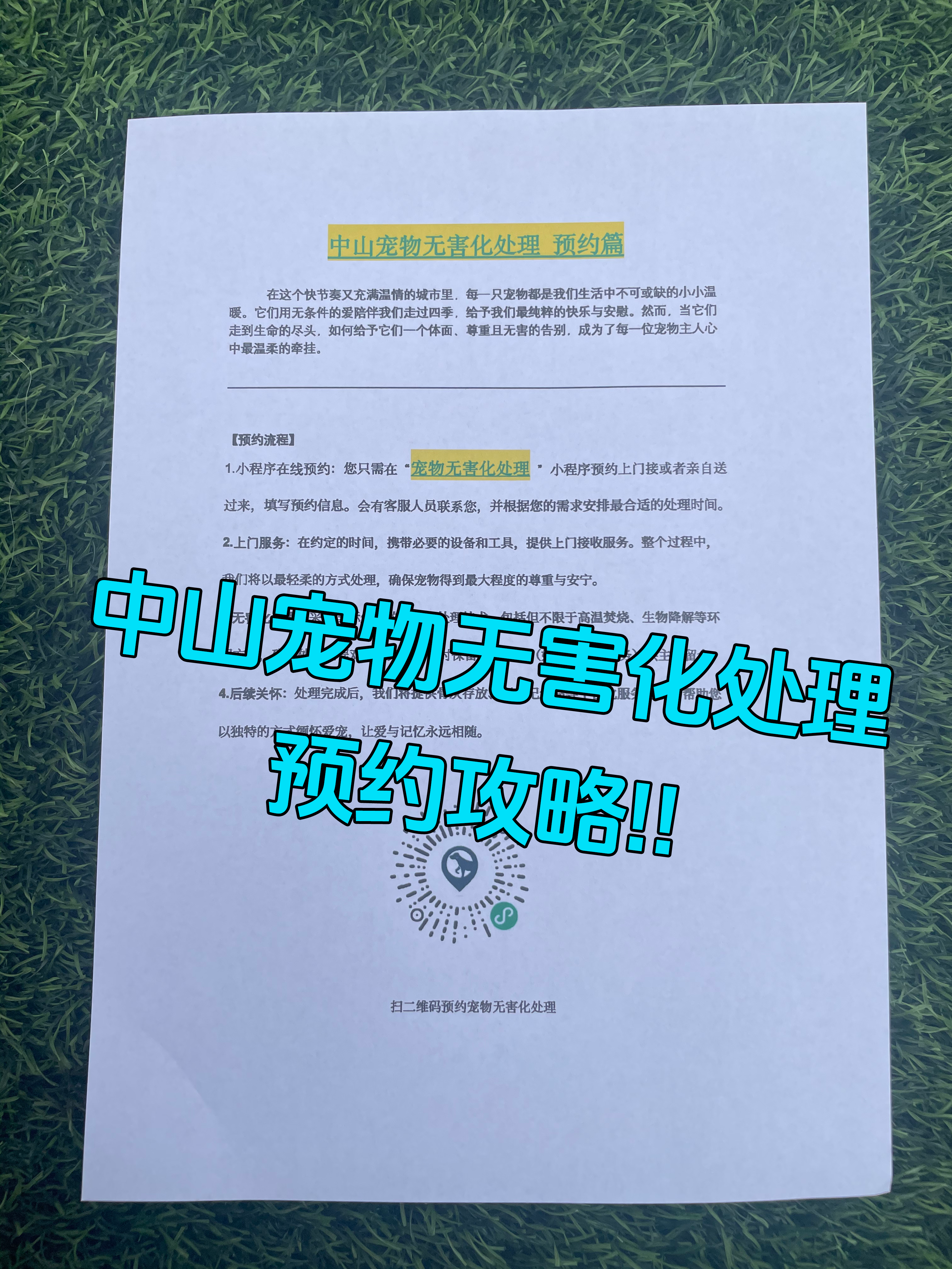 马鞍山宠物无害化处理流程