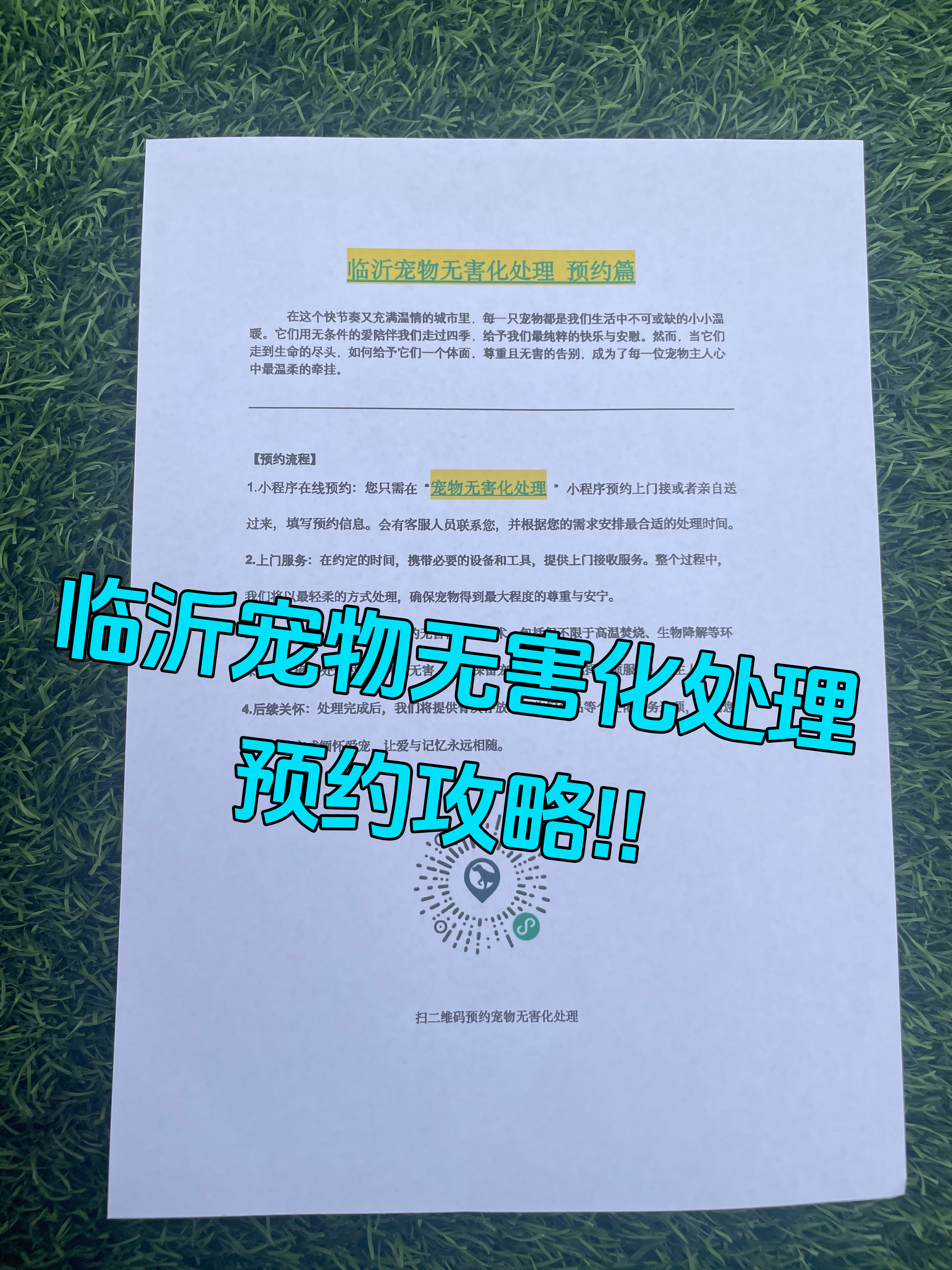 马鞍山宠物接运服务