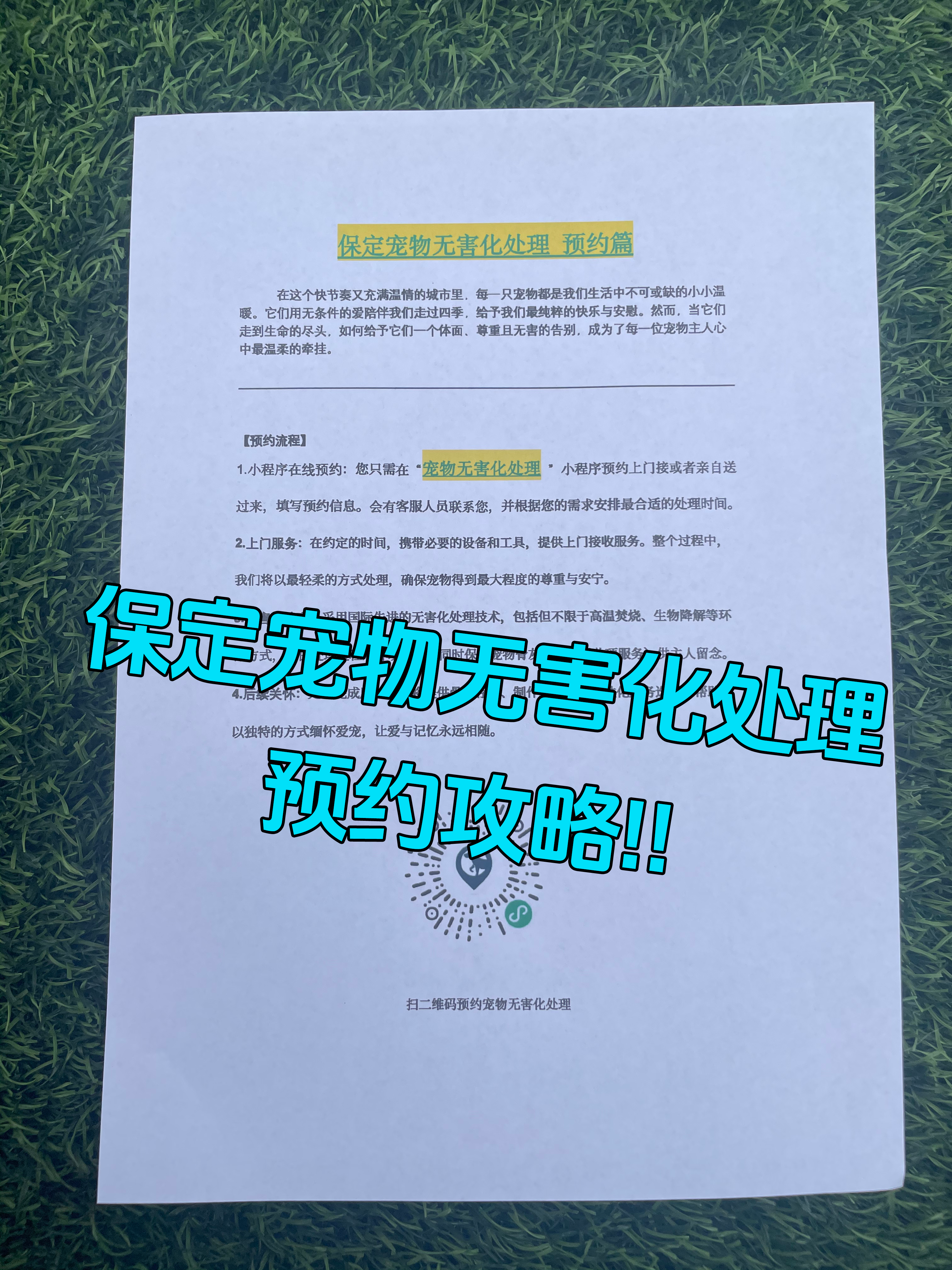 马鞍山宠物骨灰安置