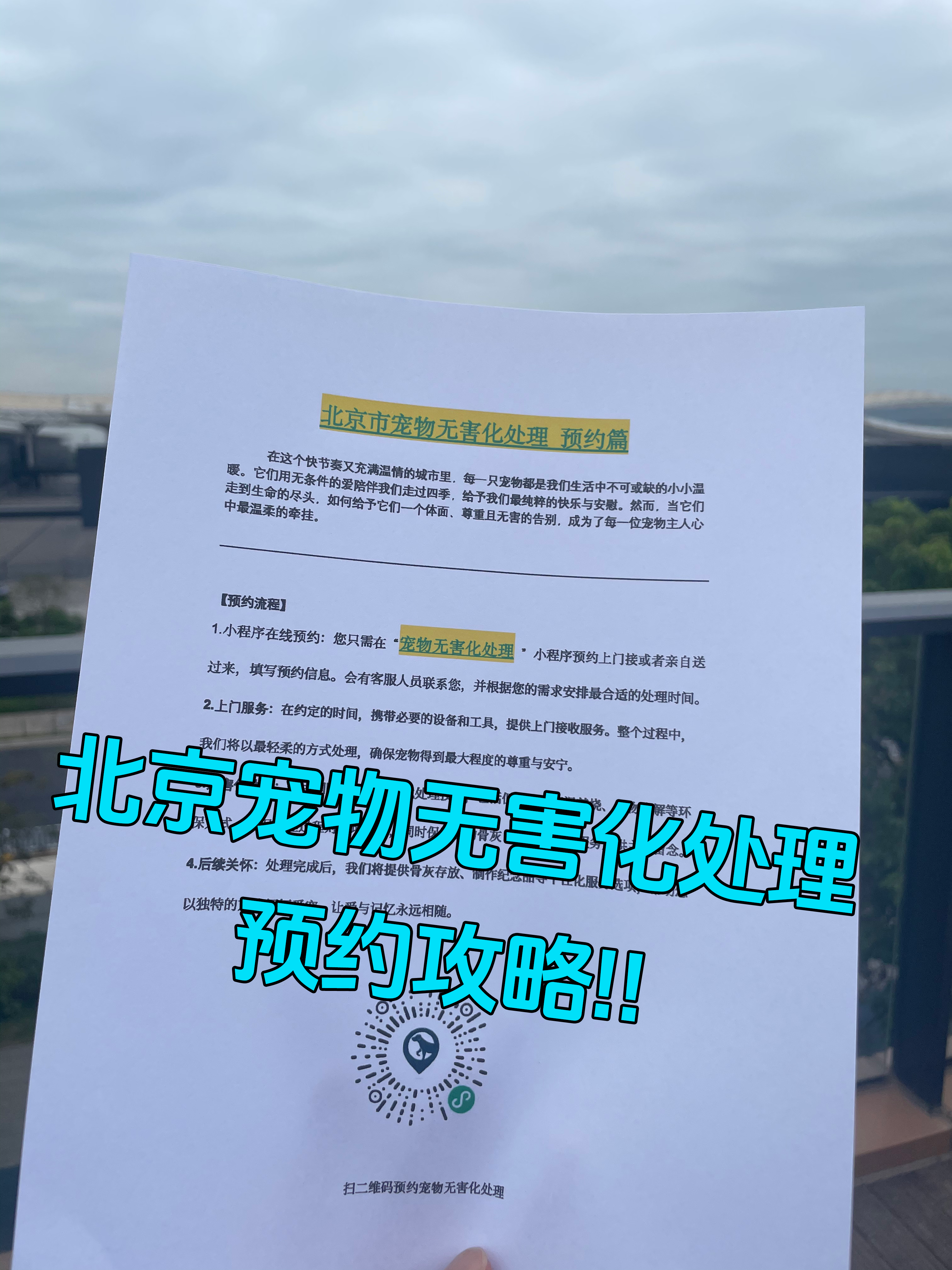 邵阳宠物无害化处理机构