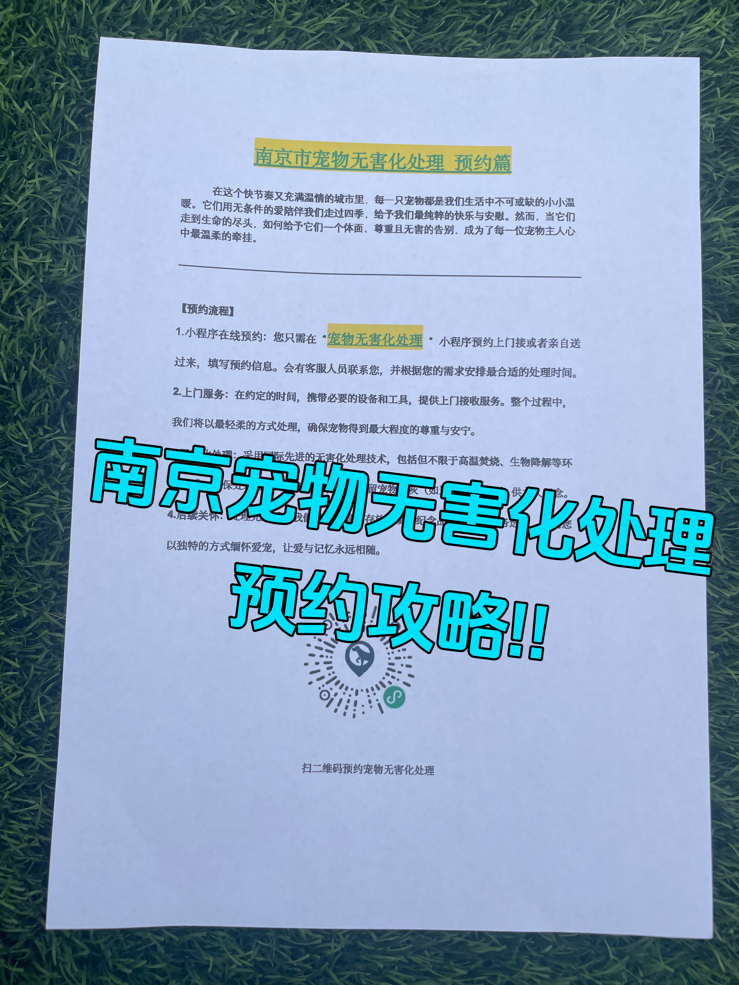 无为宠物无害化