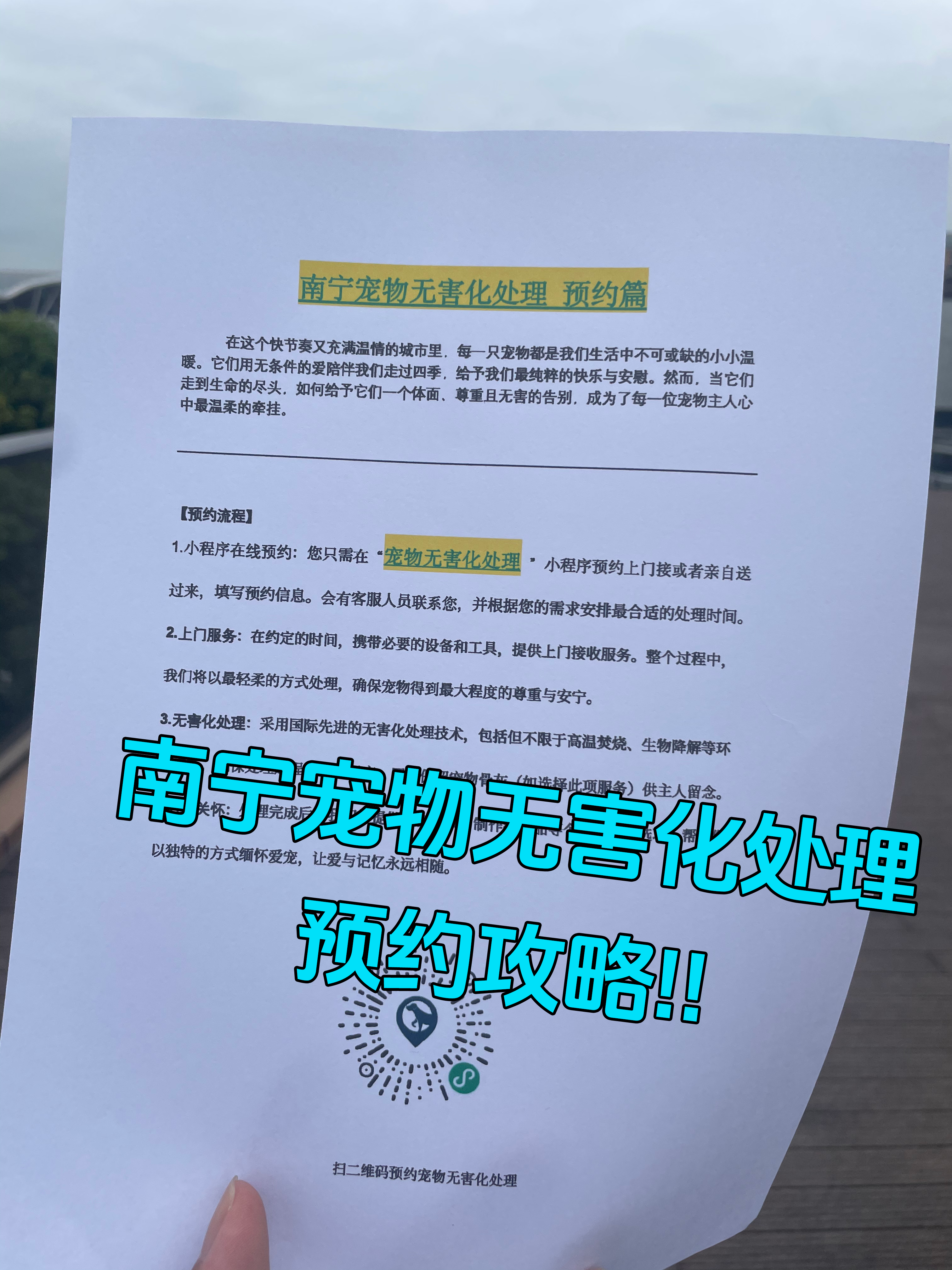 无为宠摆渡服务
